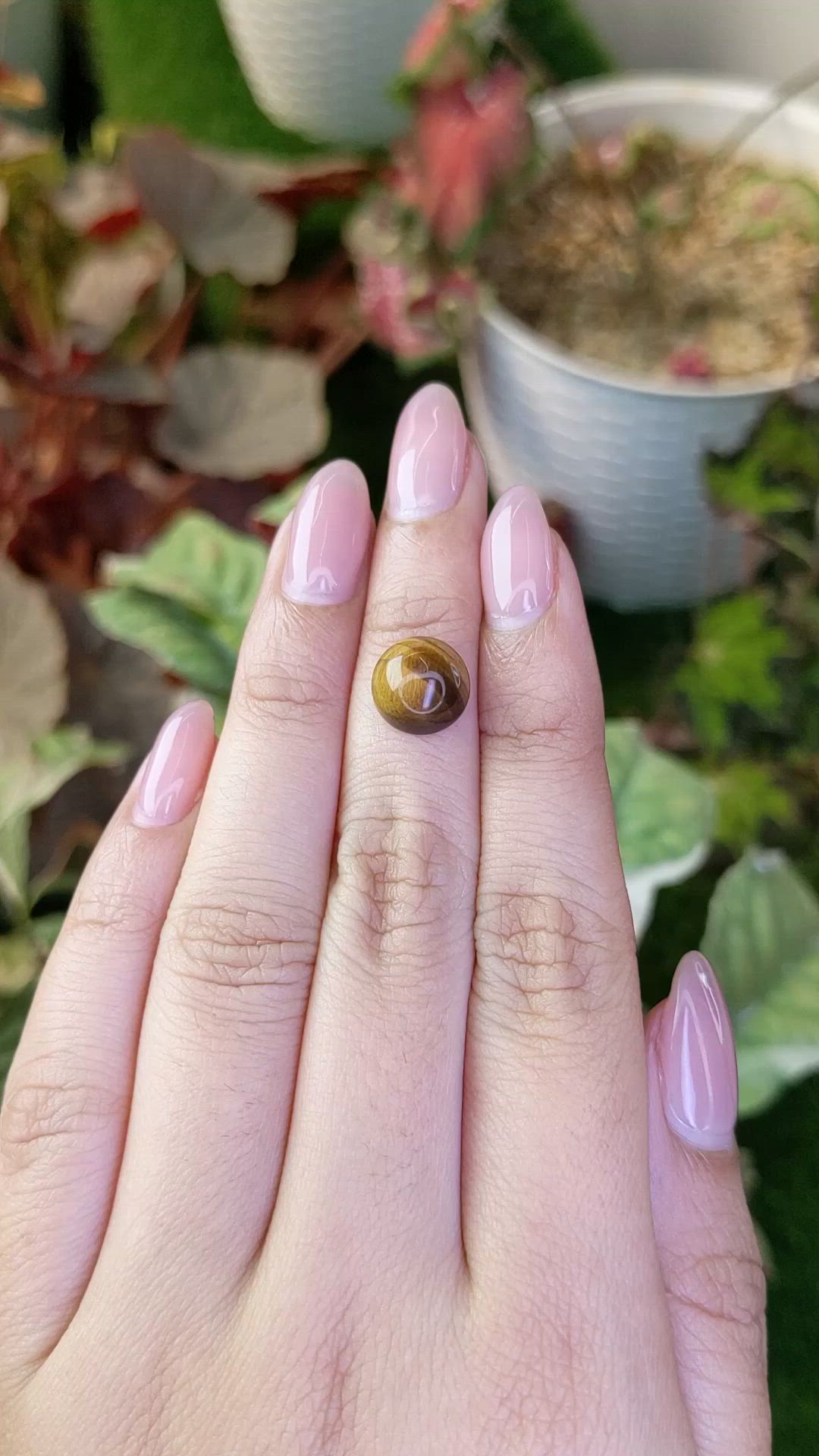 4.30 Ct. Cabochon Tiger's Eye from South Africa Size Video
