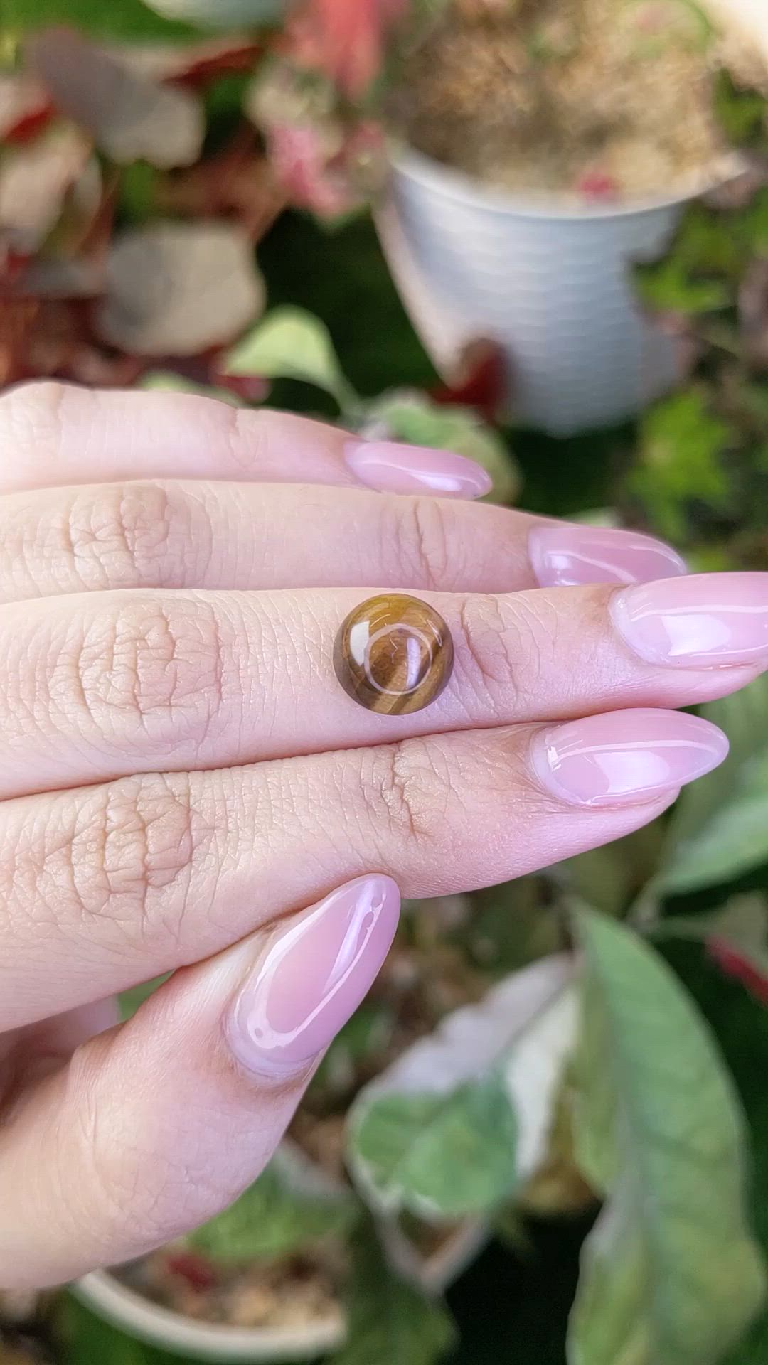 4.30 Ct. Cabochon Tiger's Eye from South Africa Size Video