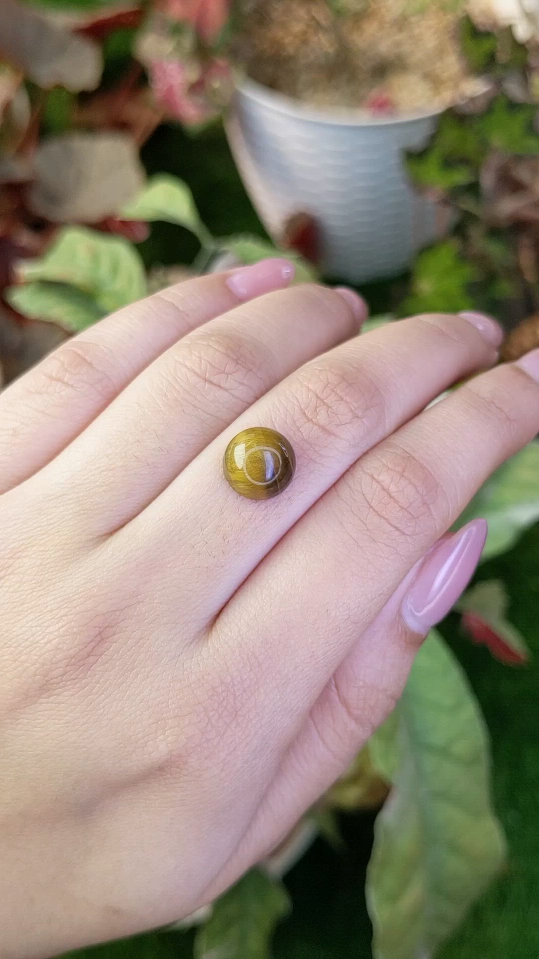4.38 Ct. Cabochon Tiger's Eye from South Africa Size Video