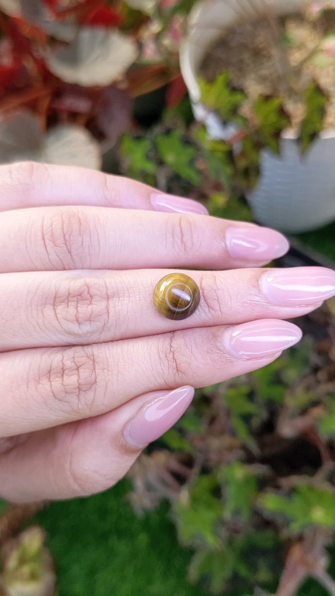 4.38 Ct. Cabochon Tiger's Eye from South Africa Size Video