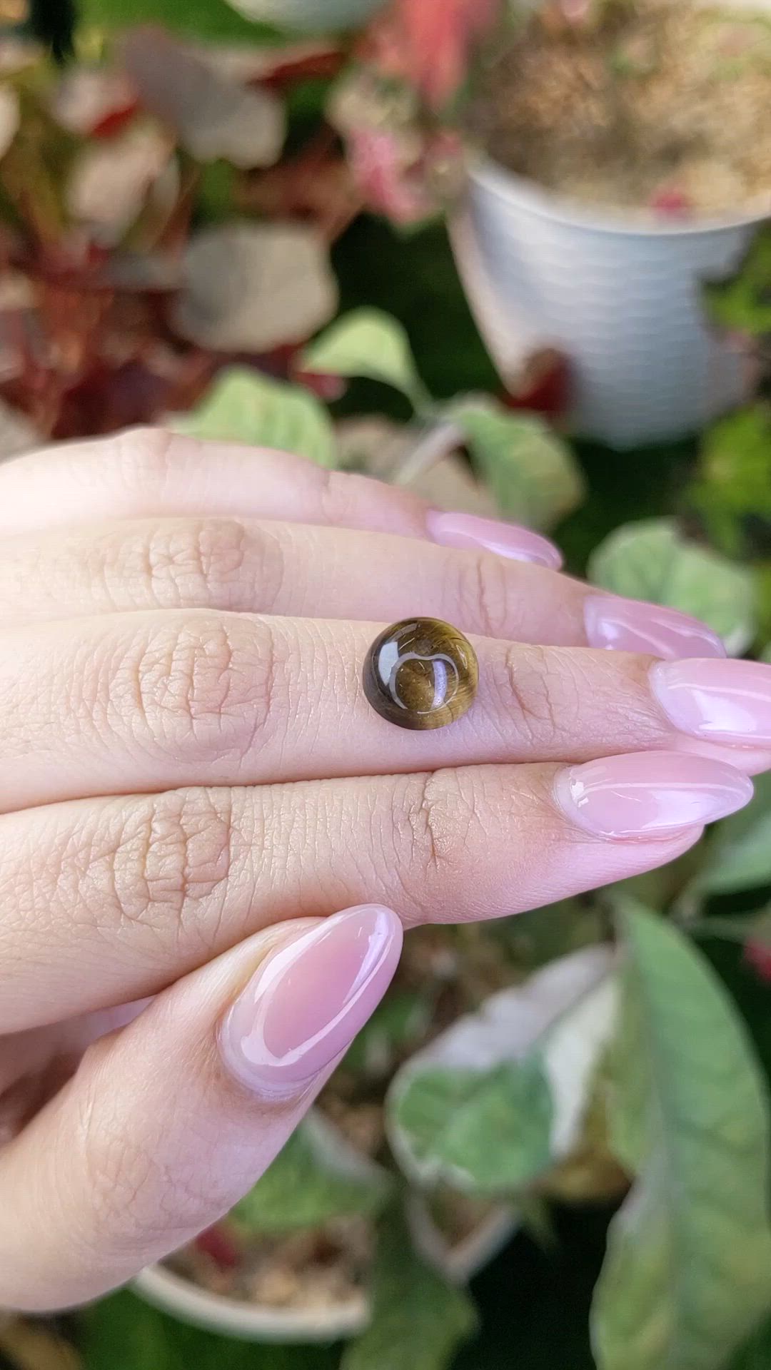 4.36 Ct. Cabochon Tiger's Eye from South Africa Size Video