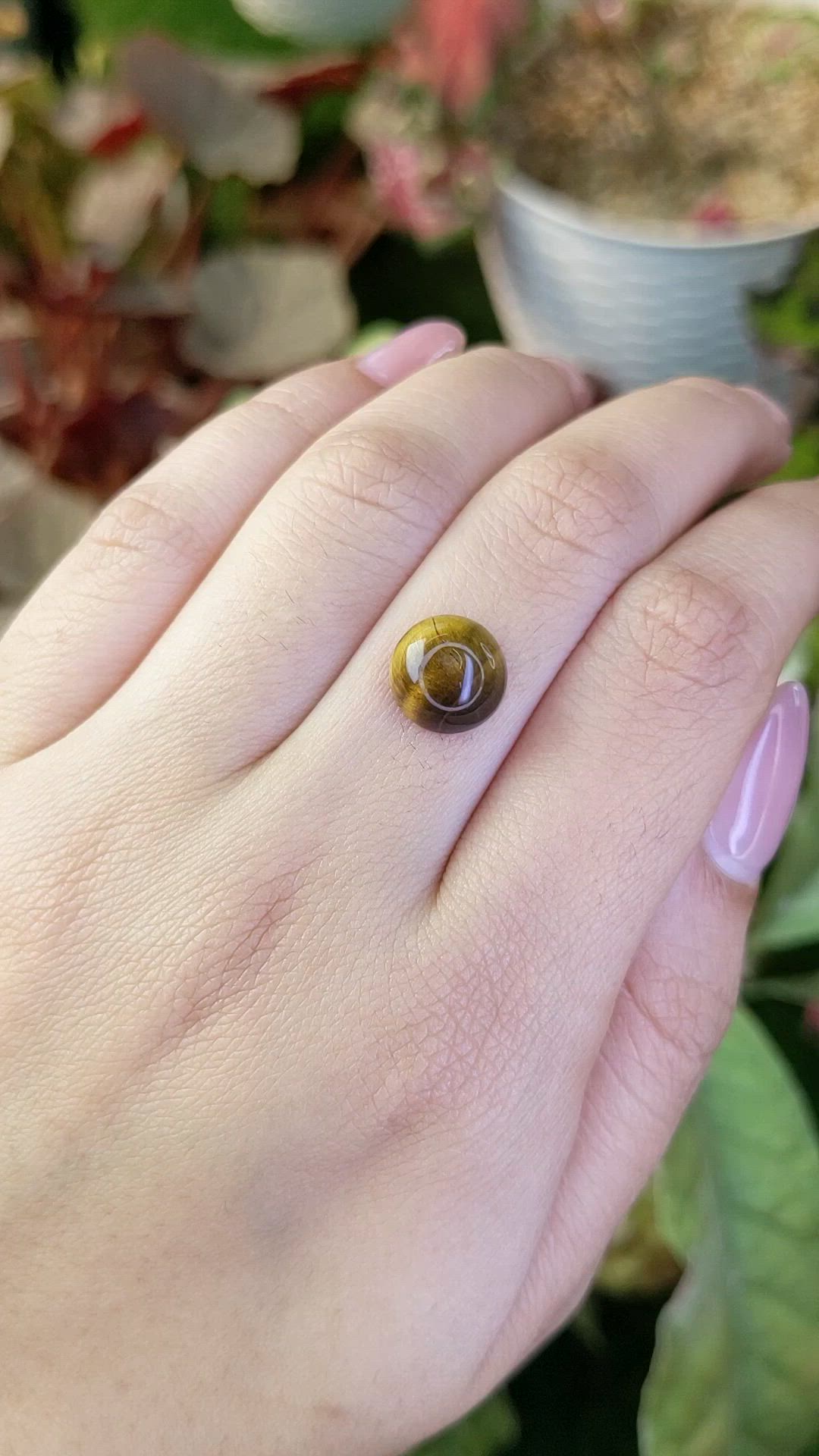 4.36 Ct. Cabochon Tiger's Eye from South Africa Size Video