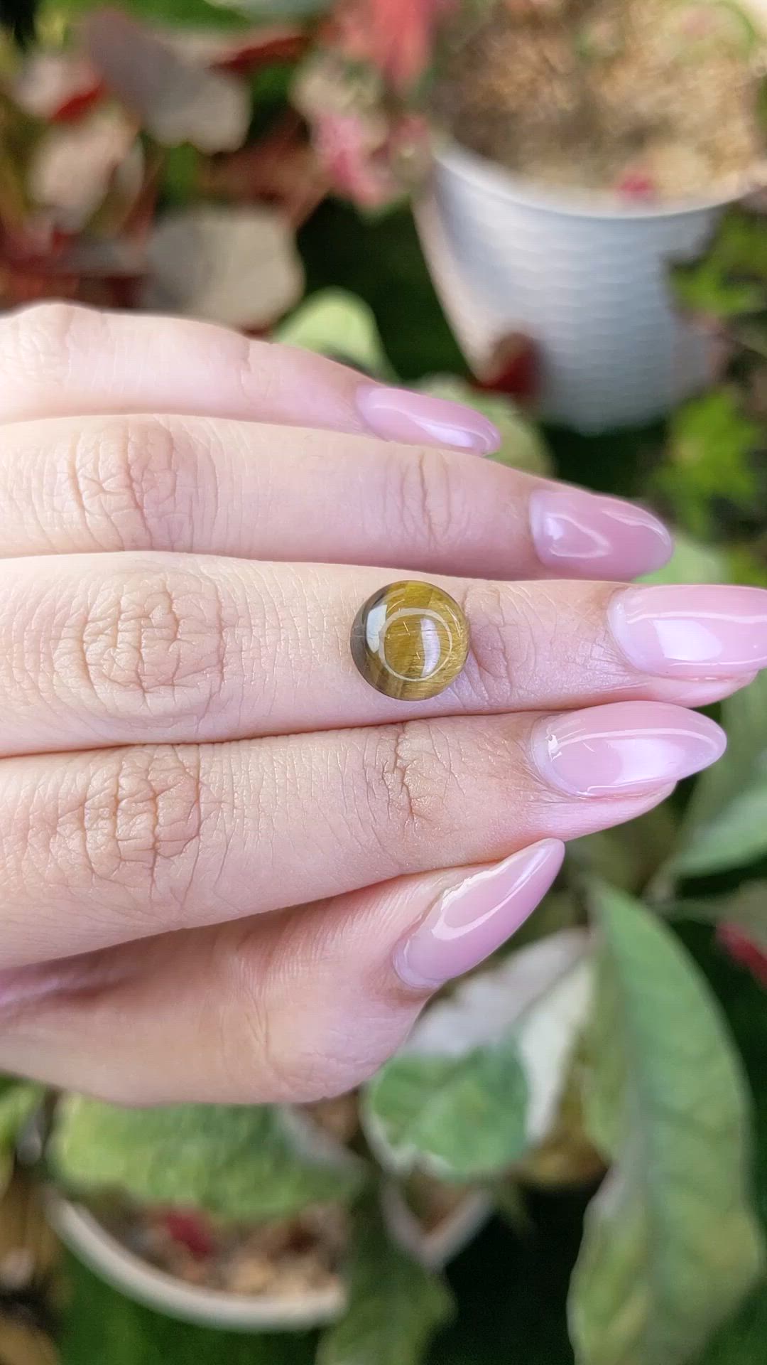 4.33 Ct. Cabochon Tiger's Eye from South Africa Size Video