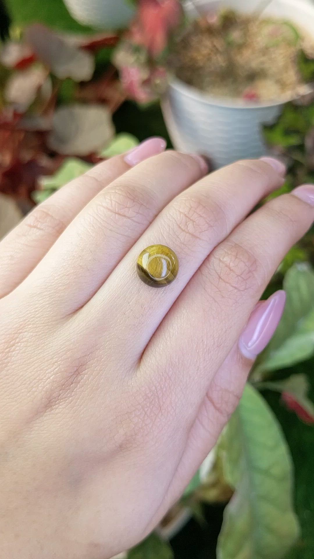4.33 Ct. Cabochon Tiger's Eye from South Africa Size Video