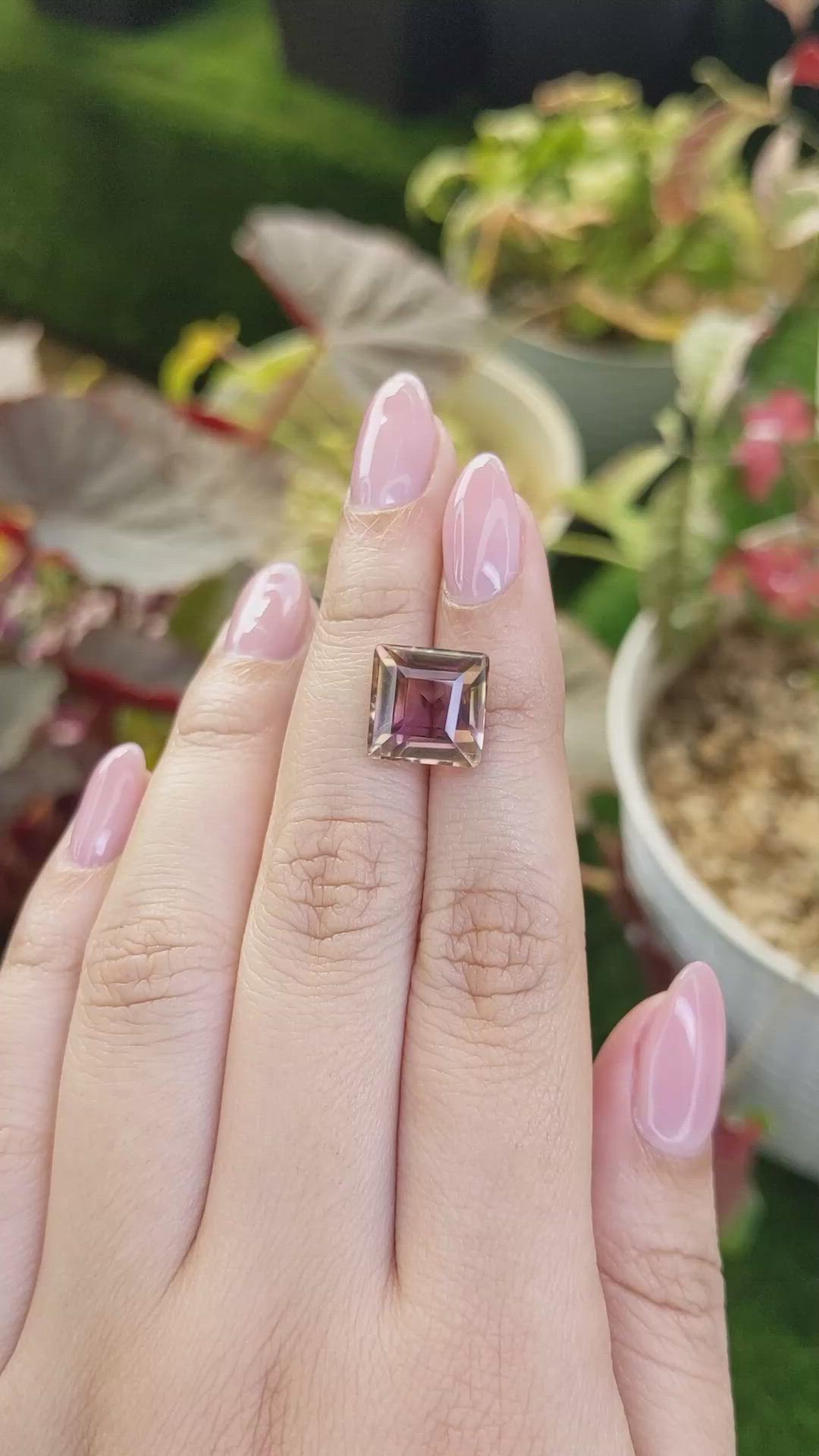 6.98 Ct. Bi Color Ametrine from Madagascar Size Video