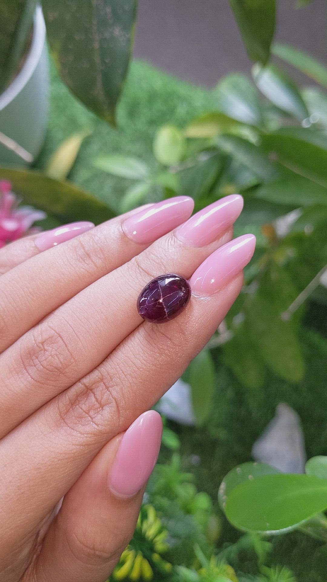 7.99 Ct. Purplish Red Star Garnet from Ceylon (Sri Lanka) Size Video