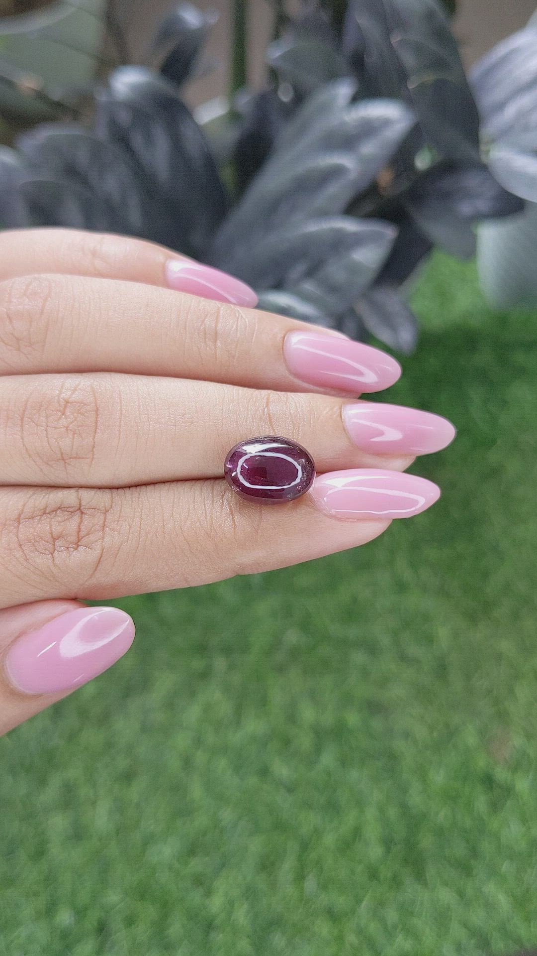 7.99 Ct. Purplish Red Star Garnet from Ceylon (Sri Lanka) Size Video