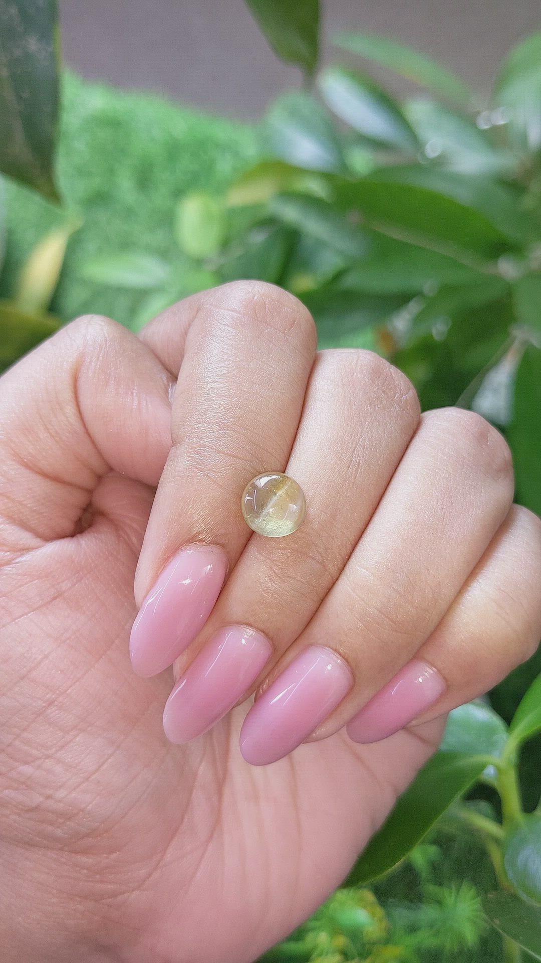 2.28 Ct. Greenish Yellow Cabochon Chrysoberyl from Ceylon (Sri Lanka) Size Video