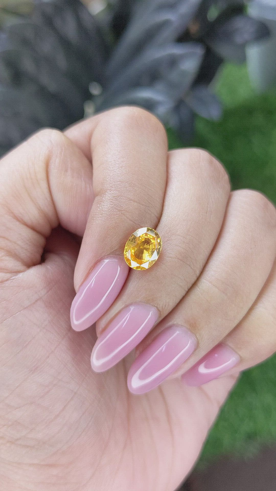 2.65 Ct. Yellow Zircon from Ceylon (Sri Lanka) Size Video