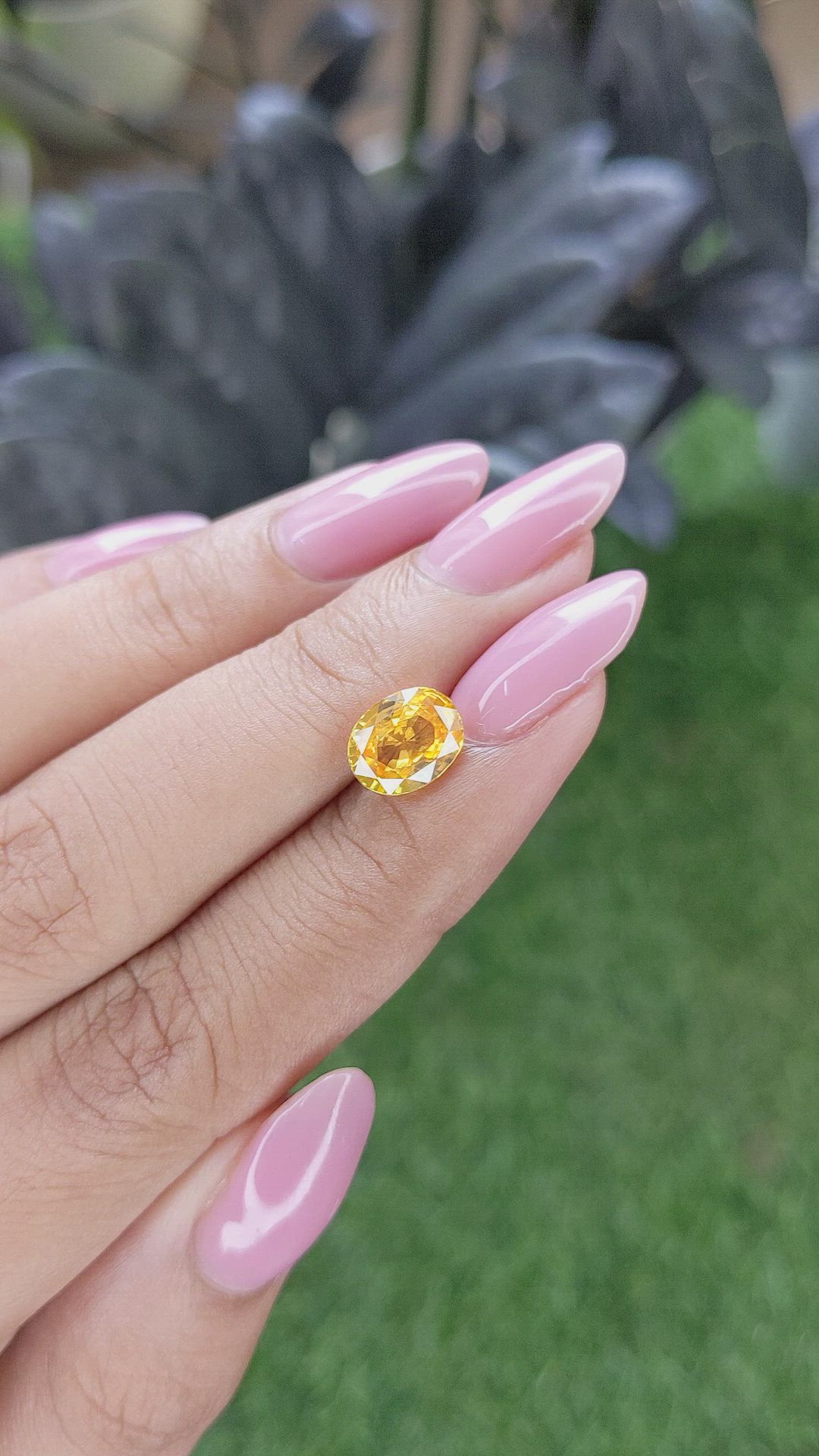 2.65 Ct. Yellow Zircon from Ceylon (Sri Lanka) Size Video