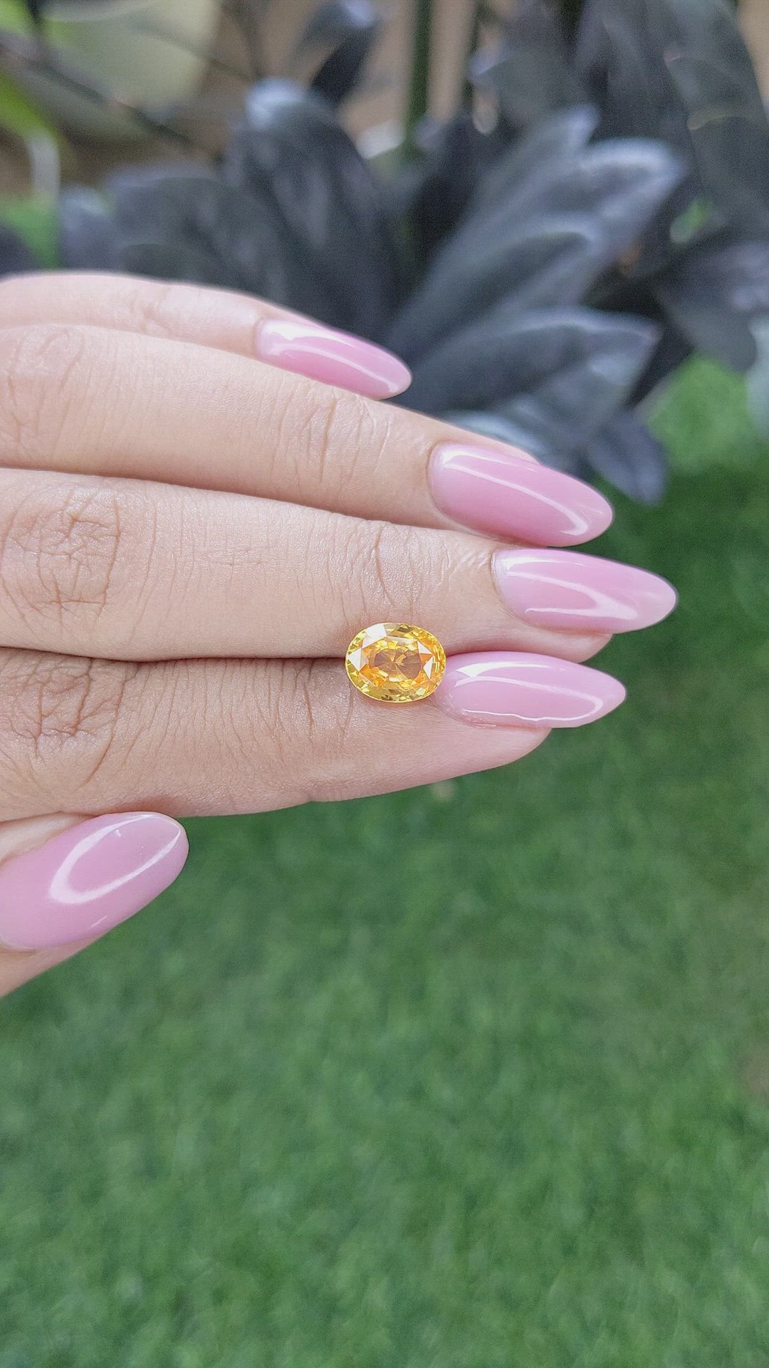 2.65 Ct. Yellow Zircon from Ceylon (Sri Lanka) Size Video