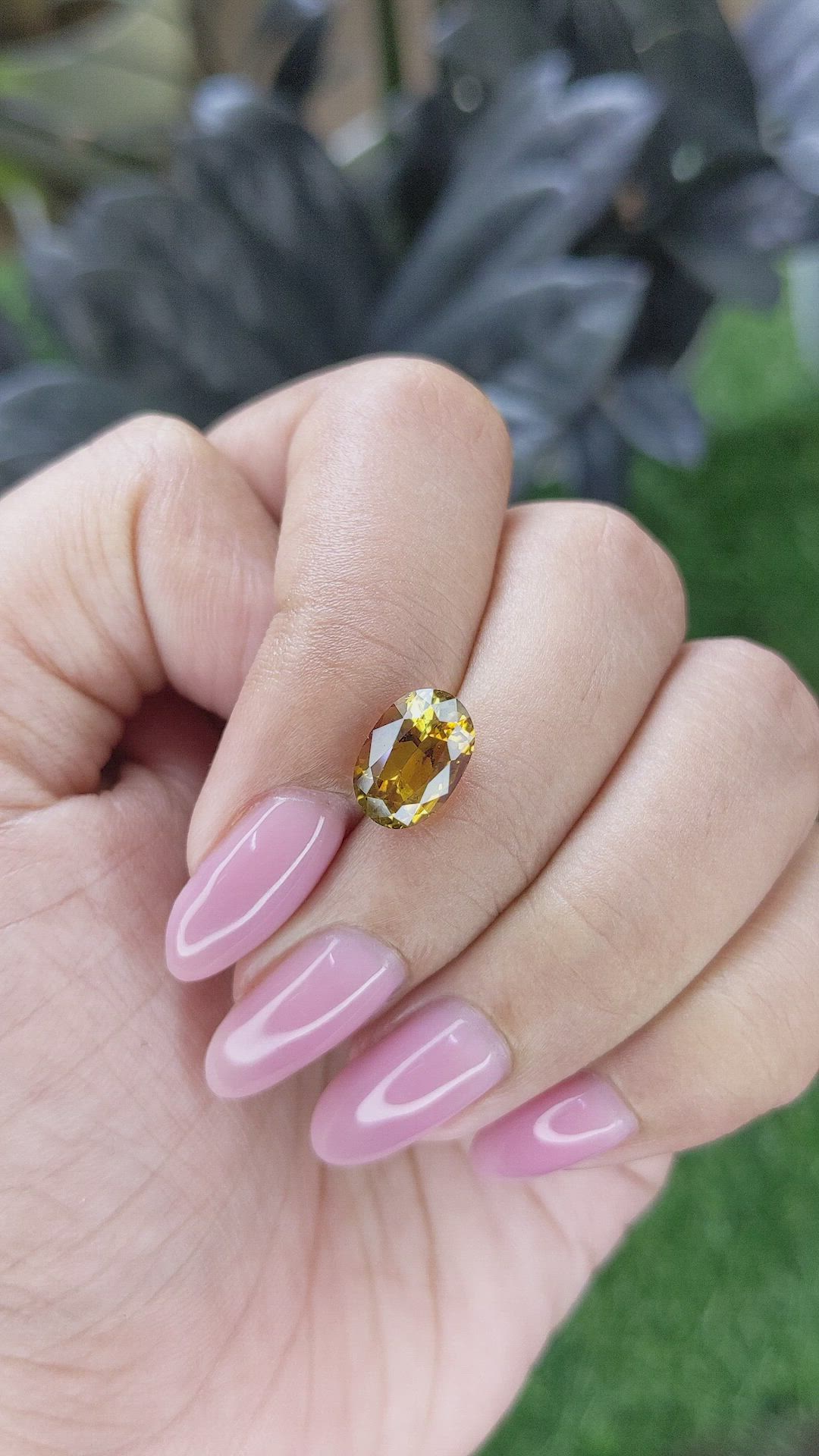 2.74 Ct. Yellowish Brown Tourmaline from Ceylon (Sri Lanka) Size Video