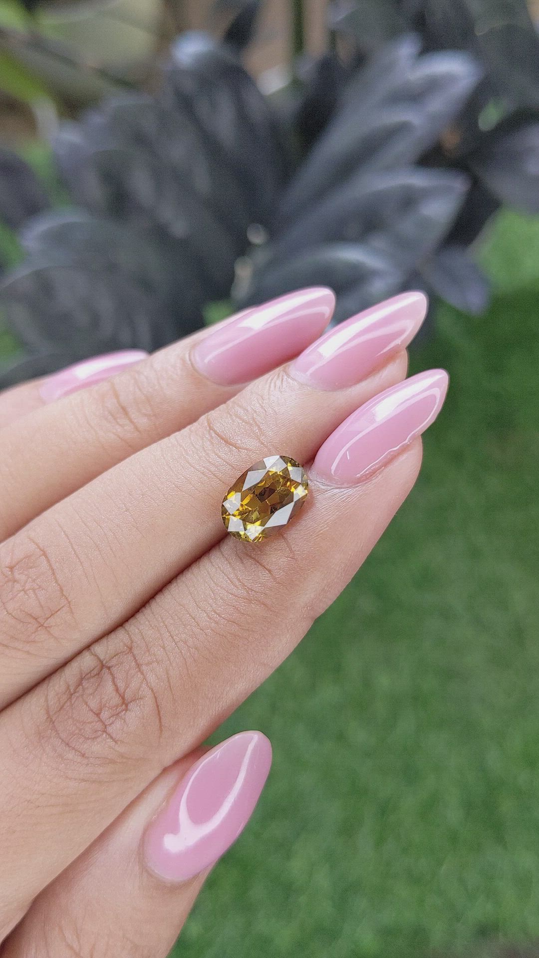 2.74 Ct. Yellowish Brown Tourmaline from Ceylon (Sri Lanka) Size Video