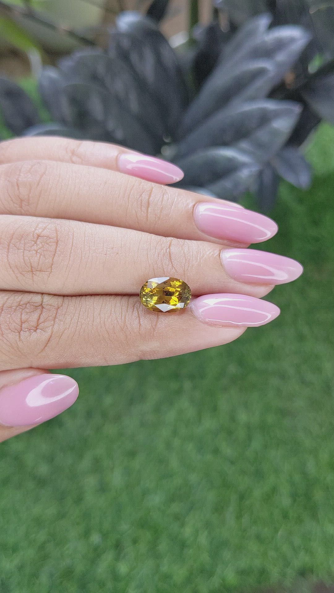 2.74 Ct. Yellowish Brown Tourmaline from Ceylon (Sri Lanka) Size Video