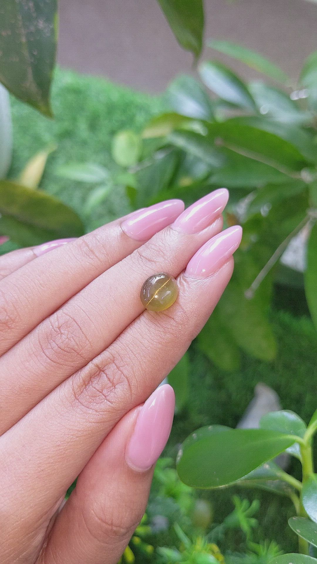 3.65 Ct. Yellowish Brown Cabochon Apatite from Ceylon (Sri Lanka) Size Video