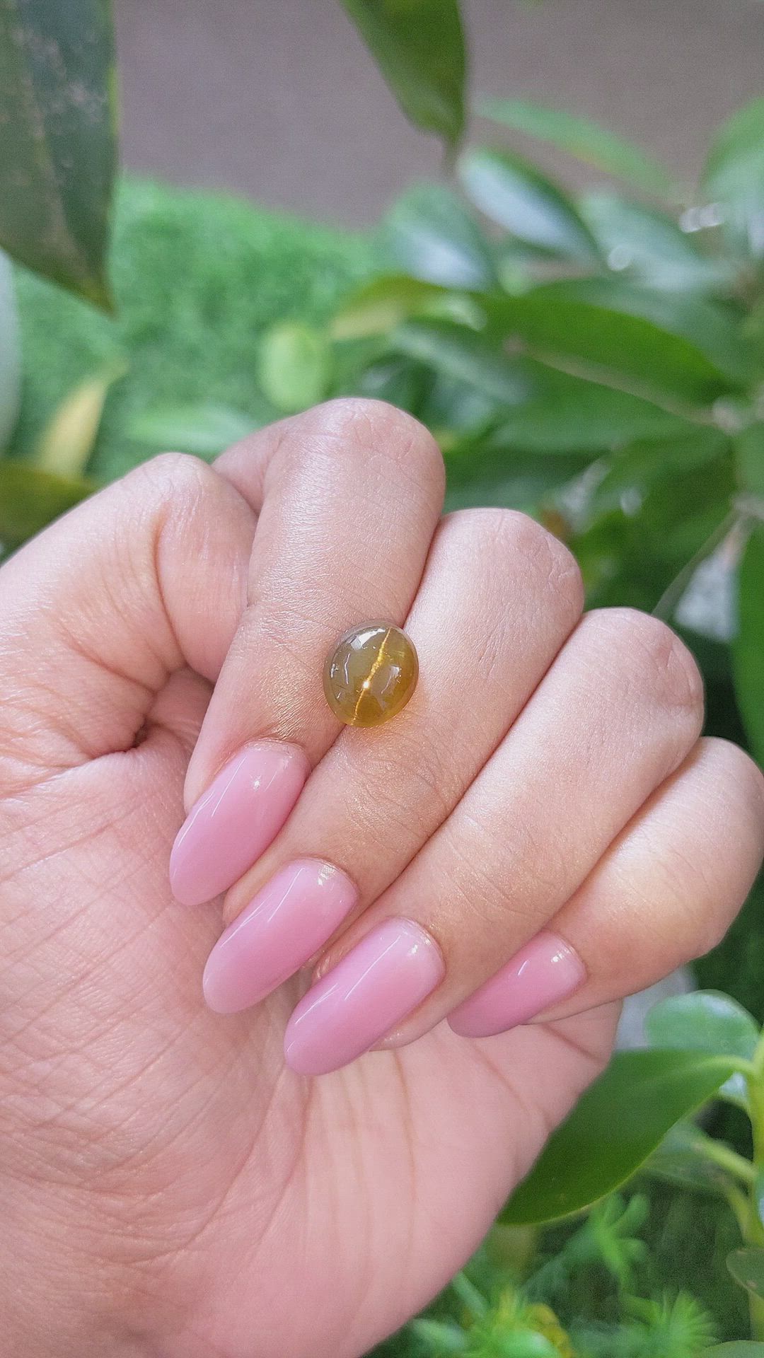 3.65 Ct. Yellowish Brown Cabochon Apatite from Ceylon (Sri Lanka) Size Video