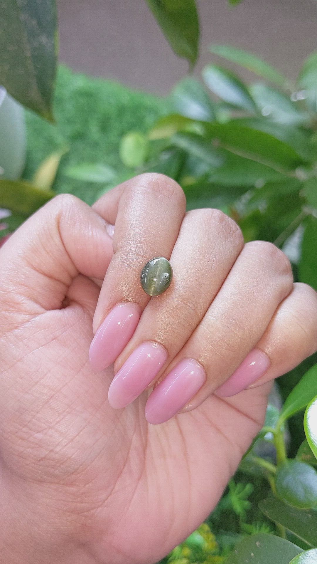 3.49 Ct. Green Cabochon Chrysoberyl from Ceylon (Sri Lanka) Size Video