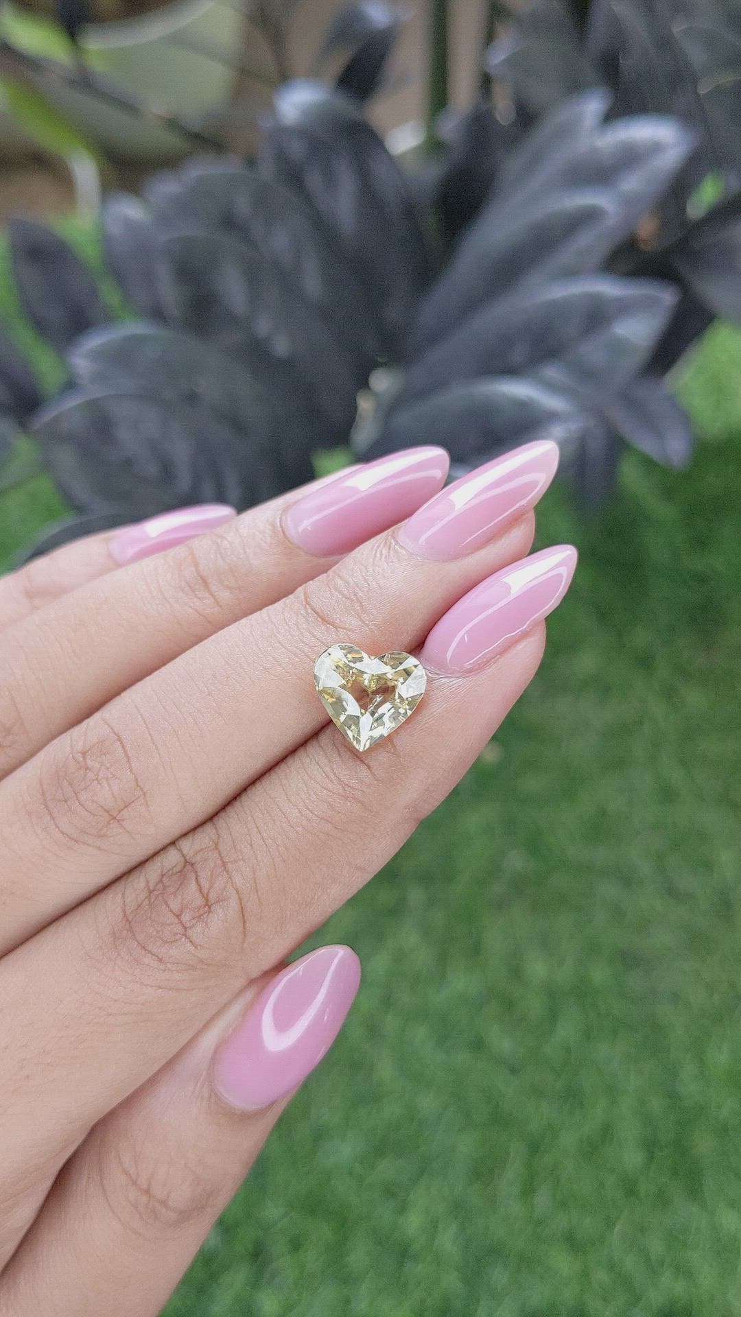 5.00 Ct. Yellow Zircon from Ceylon (Sri Lanka) Size Video