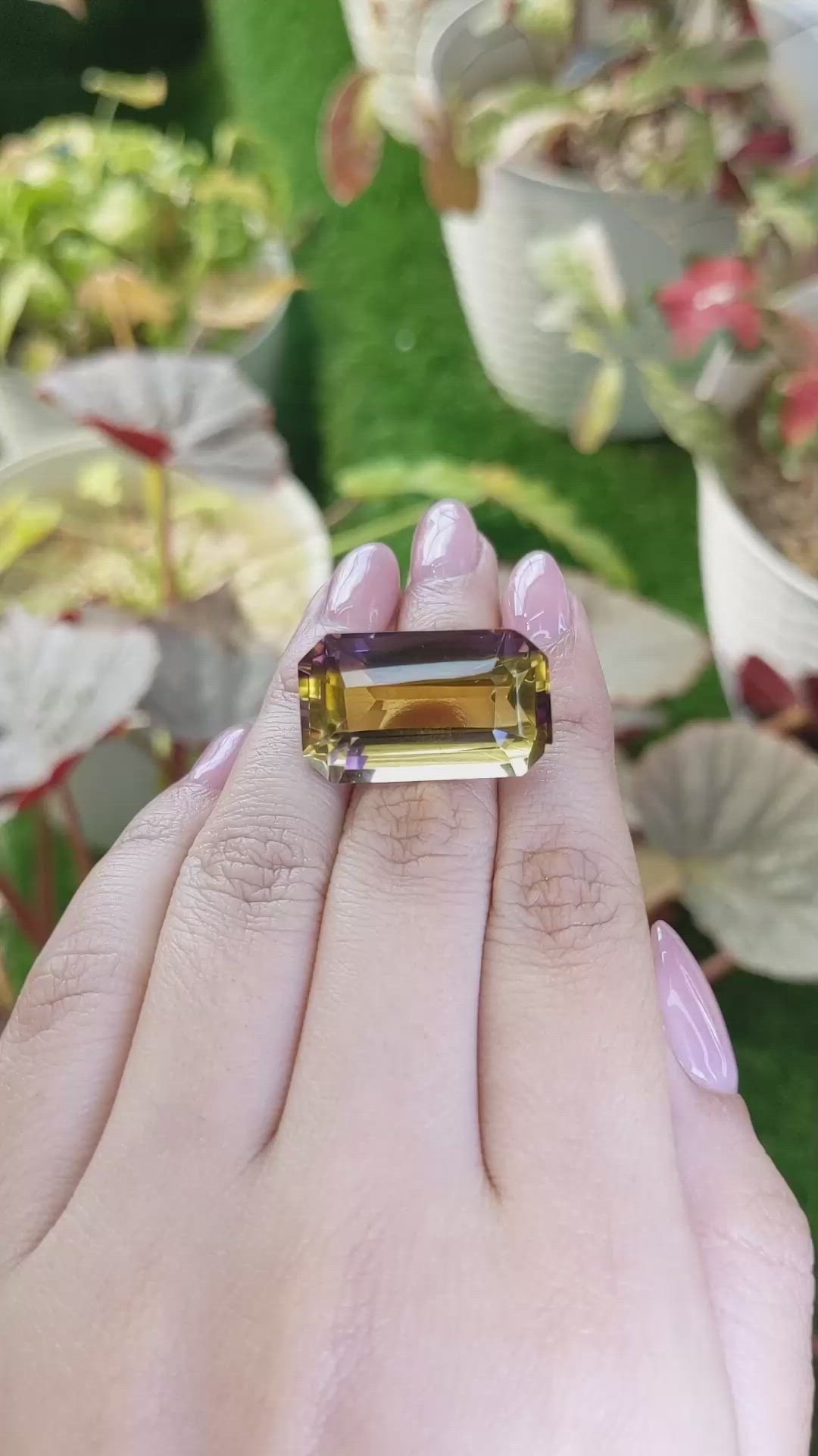 33.59 Ct. Bi Color Ametrine from Madagascar Size Video