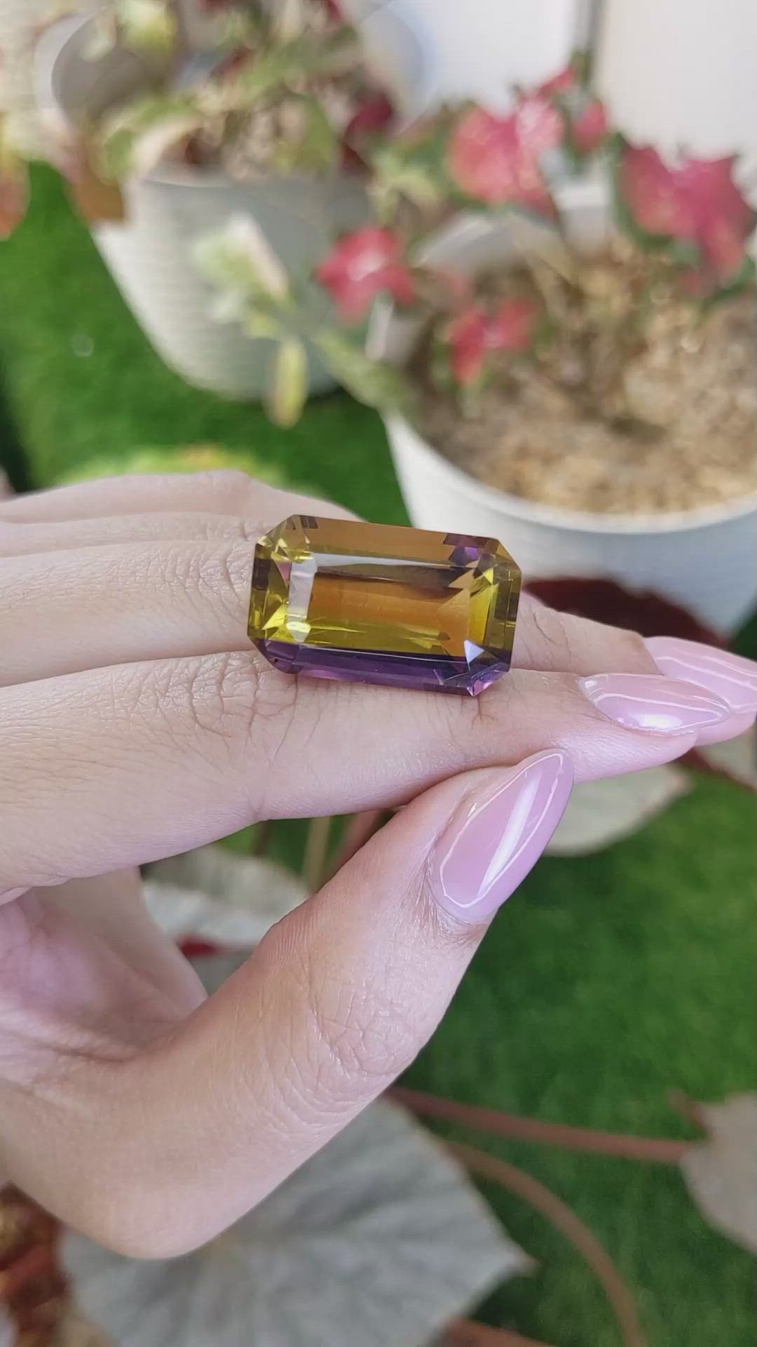 33.59 Ct. Bi Color Ametrine from Madagascar Size Video