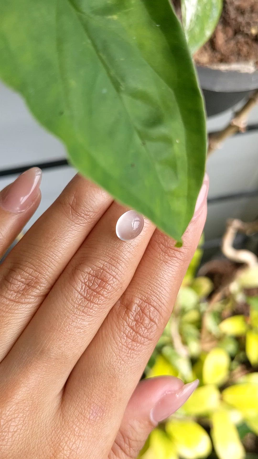 2.27 Ct. White Cabochon Moonstone from Ceylon (Sri Lanka) Size Video