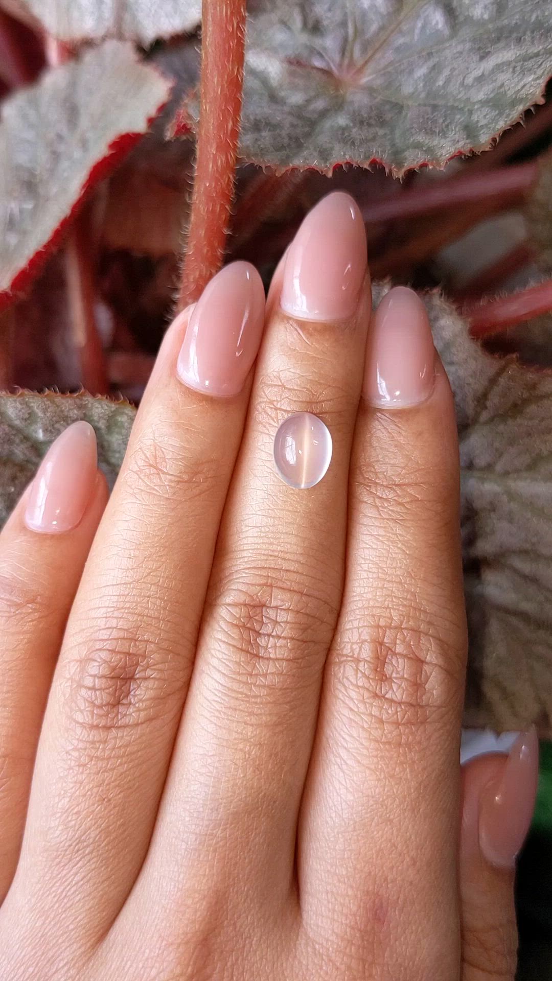 2.18 Ct. White Cabochon Moonstone from Ceylon (Sri Lanka) Size Video