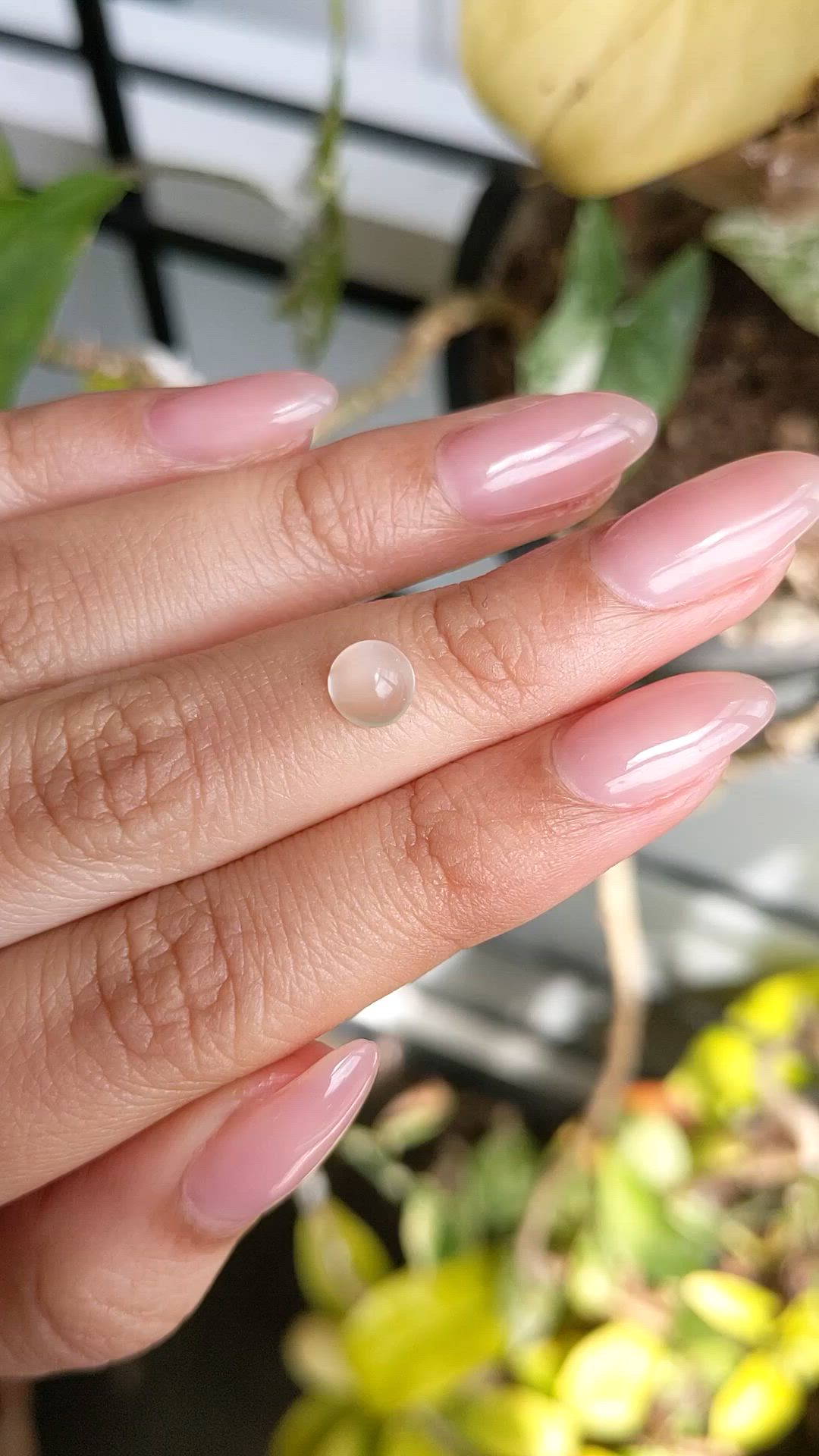 1.08 Ct. White Cabochon Moonstone from Ceylon (Sri Lanka) Size Video