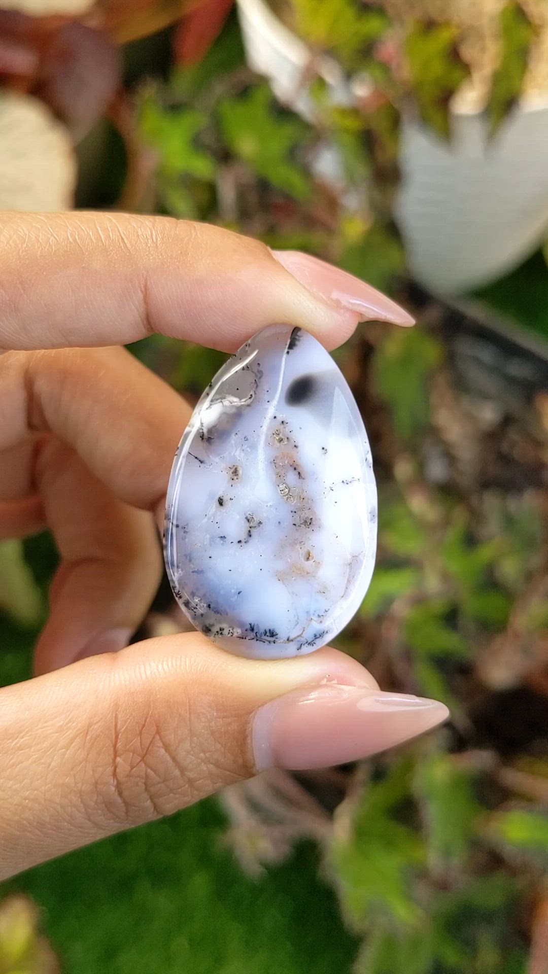 29.34 Ct. Multi Color Cabochon Agate from Madagascar Size Video
