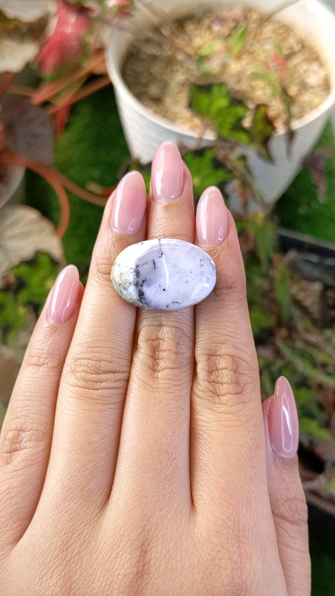 22.63 Ct. Multi Color Cabochon Agate from Madagascar Size Video