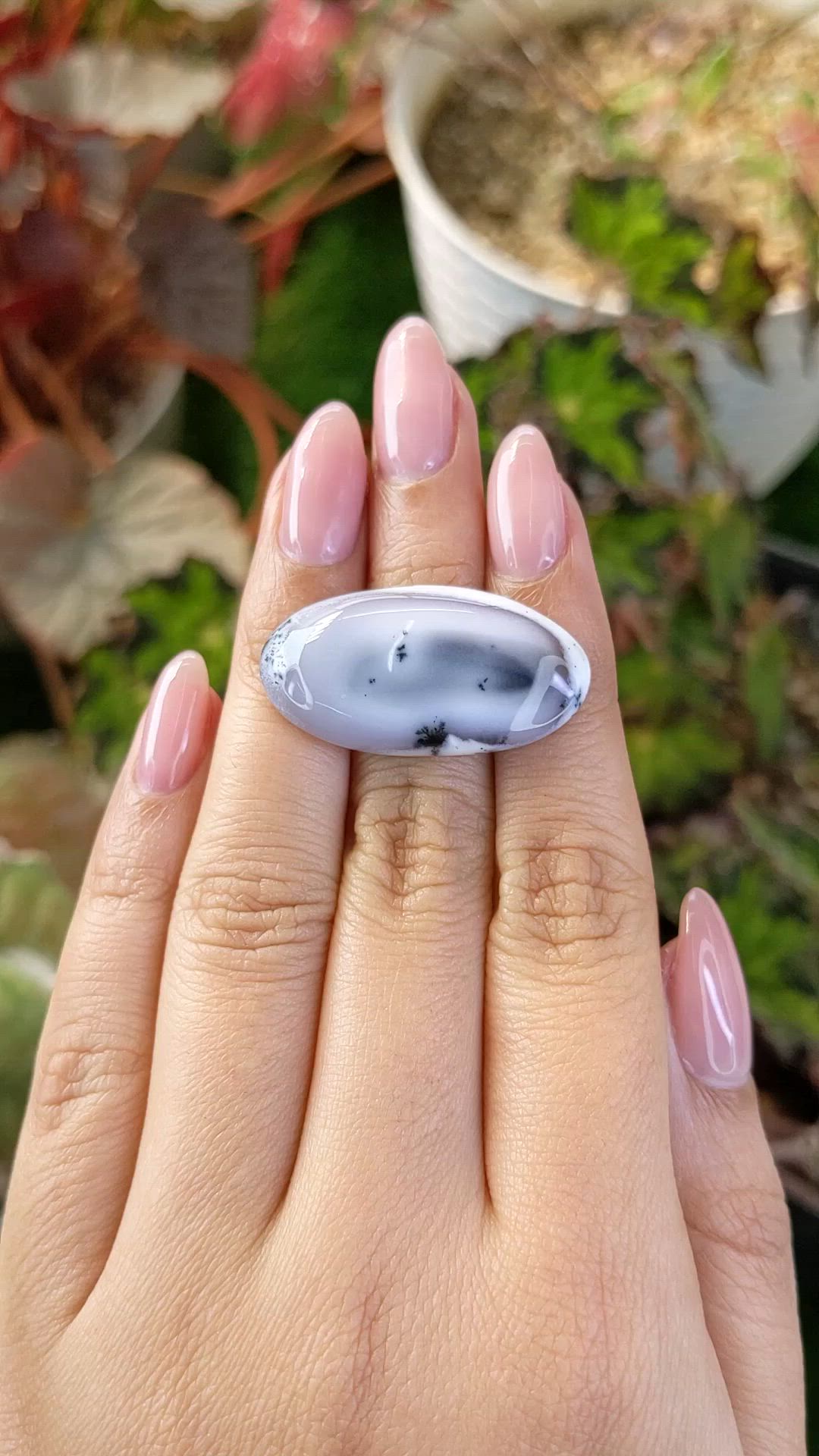 26.74 Ct. Grey Cabochon Agate from Madagascar Size Video