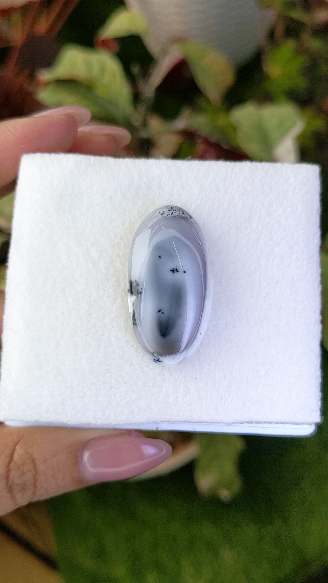 26.74 Ct. Grey Cabochon Agate from Madagascar Size Video