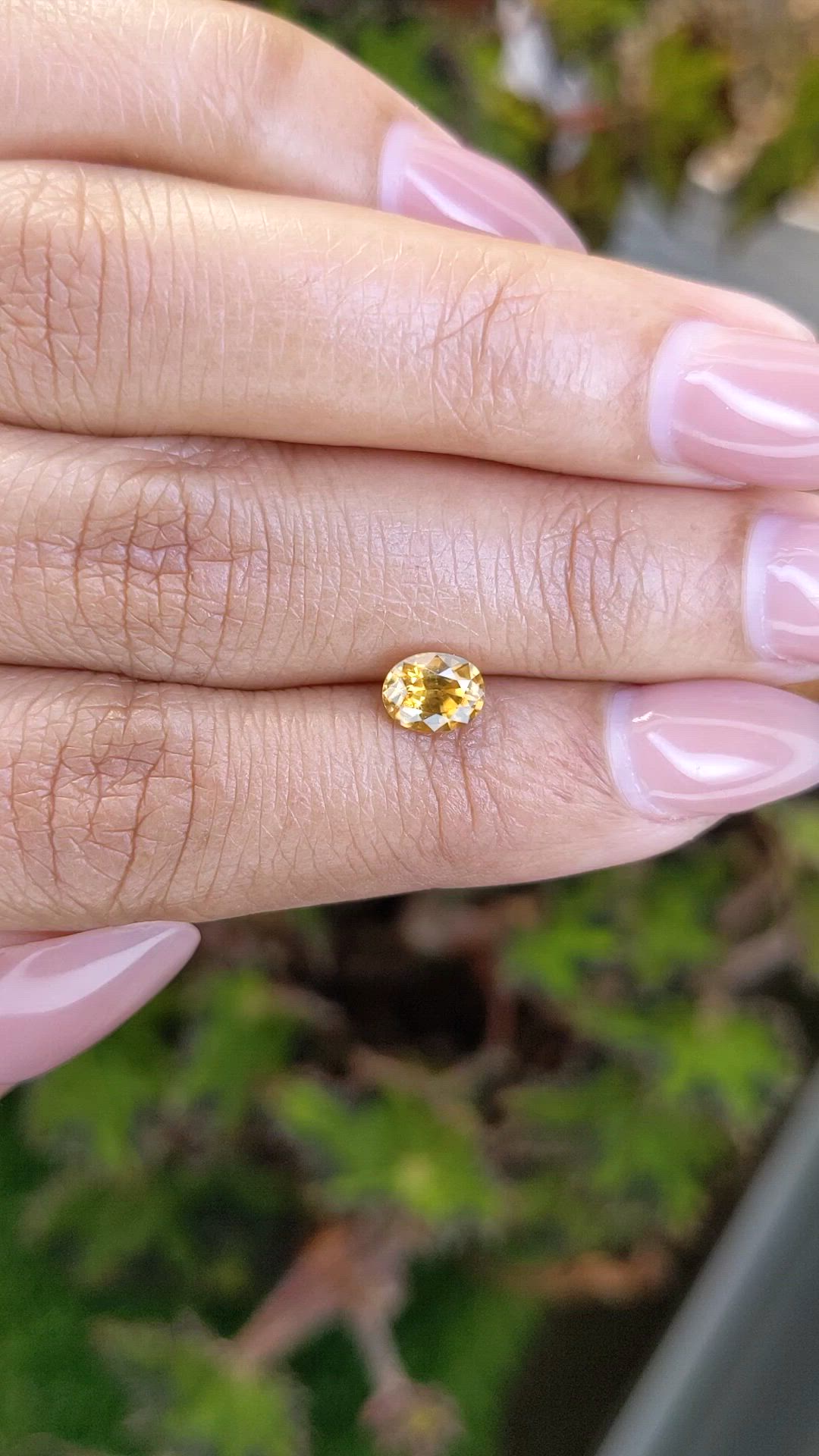 1.09 Ct. Brownish Yellow Zircon from Ceylon (Sri Lanka) Size Video