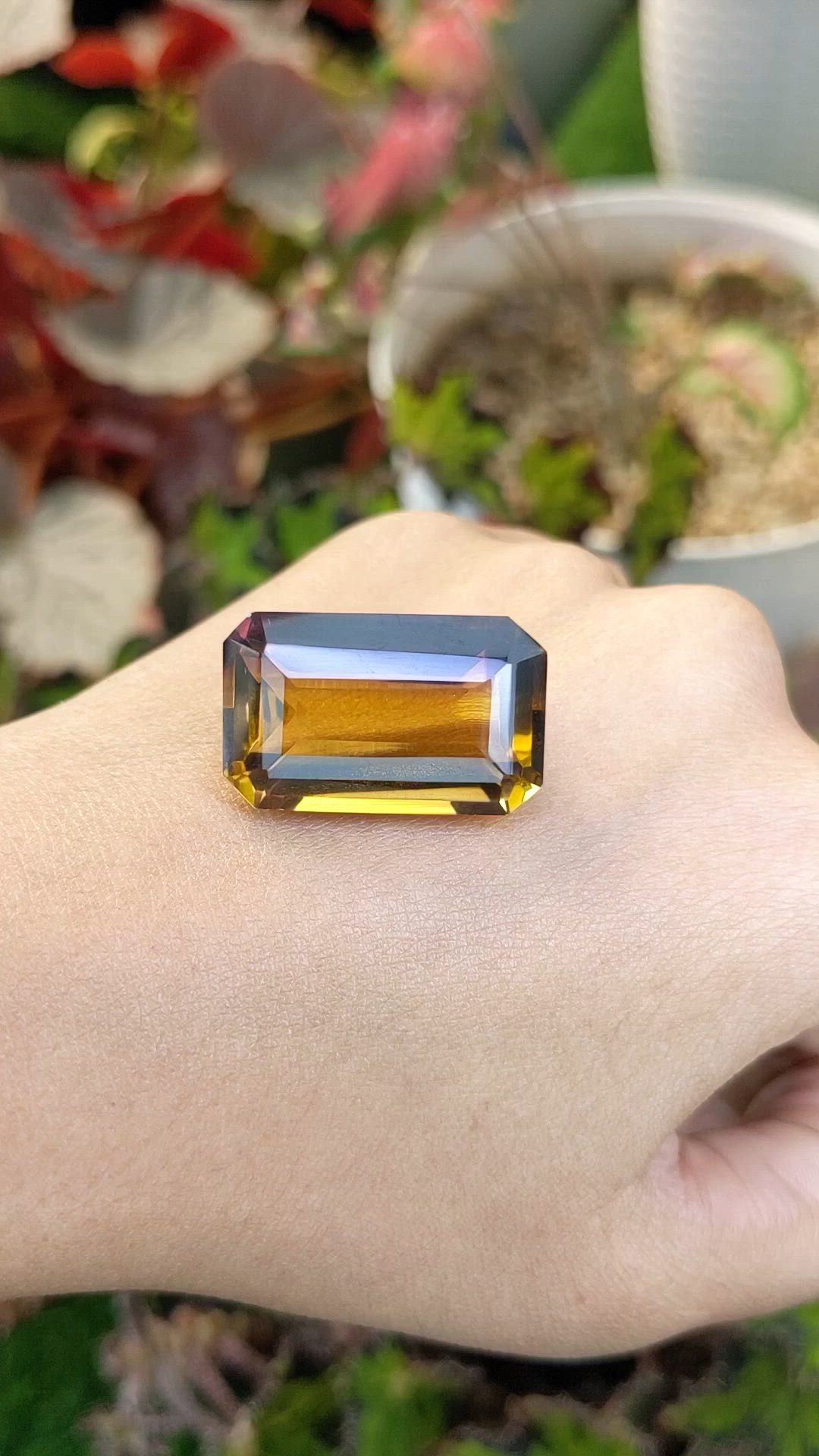 42.95 Ct. Bi Color Ametrine from Madagascar Size Video