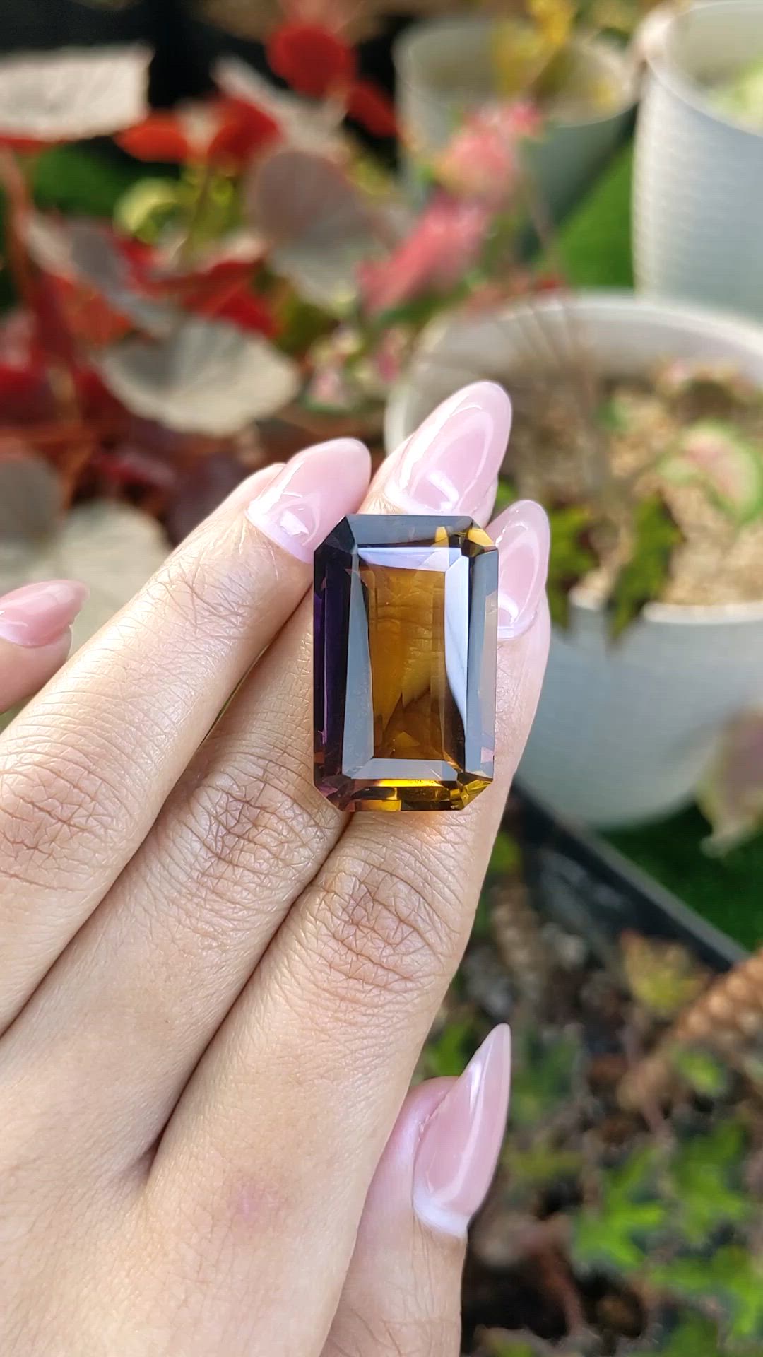 42.95 Ct. Bi Color Ametrine from Madagascar Size Video