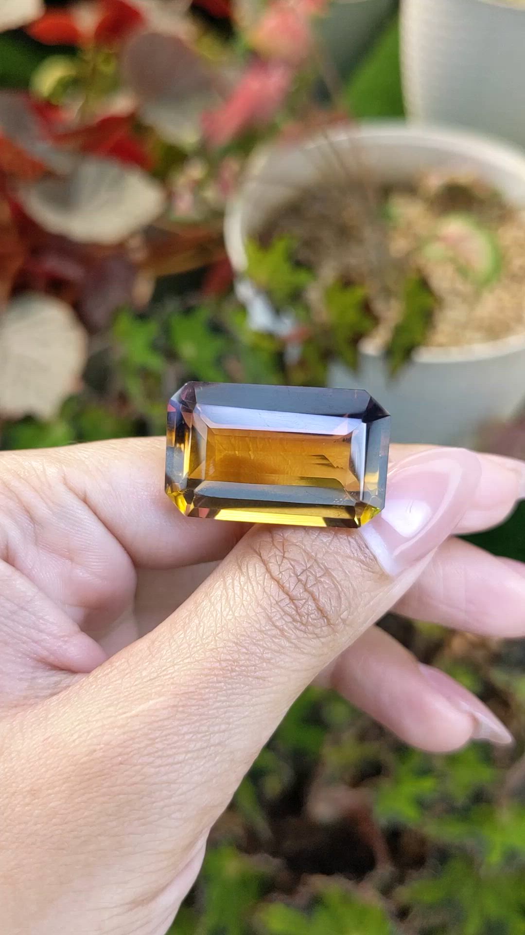 42.95 Ct. Bi Color Ametrine from Madagascar Size Video