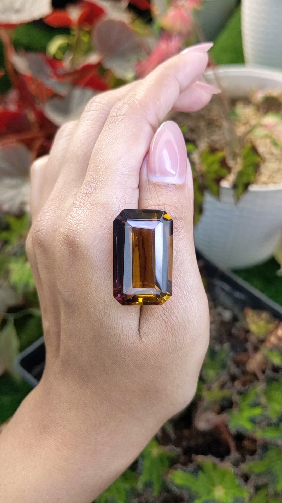42.95 Ct. Bi Color Ametrine from Madagascar Size Video