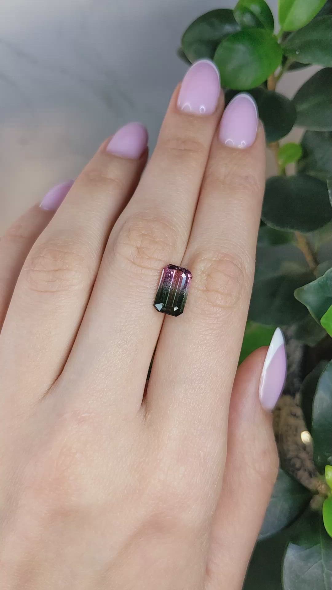 3.07 Ct. Watermelon Tourmaline from Madagascar Size Video
