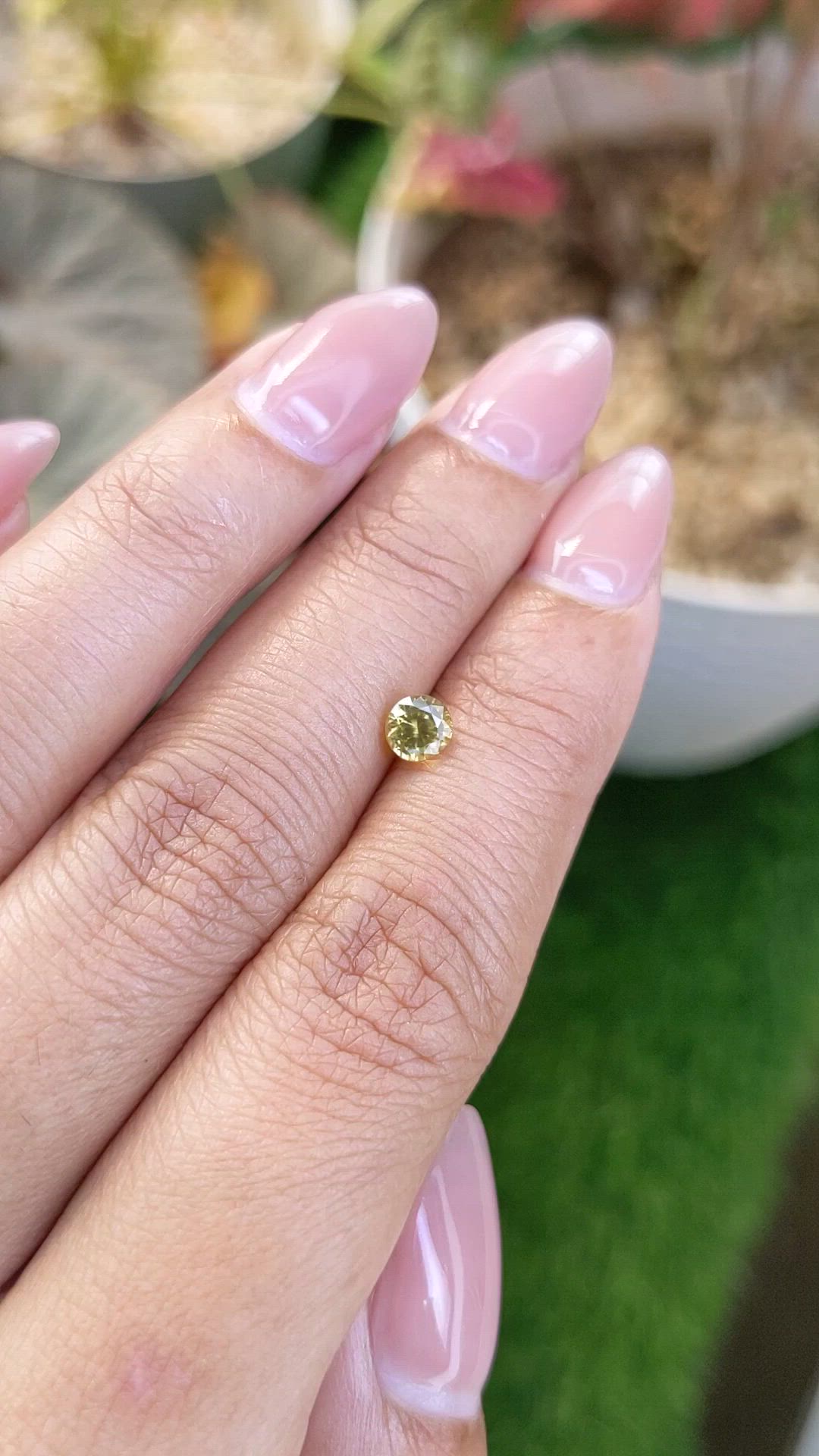 0.76 Ct. Yellow Zircon from Ceylon (Sri Lanka) Size Video