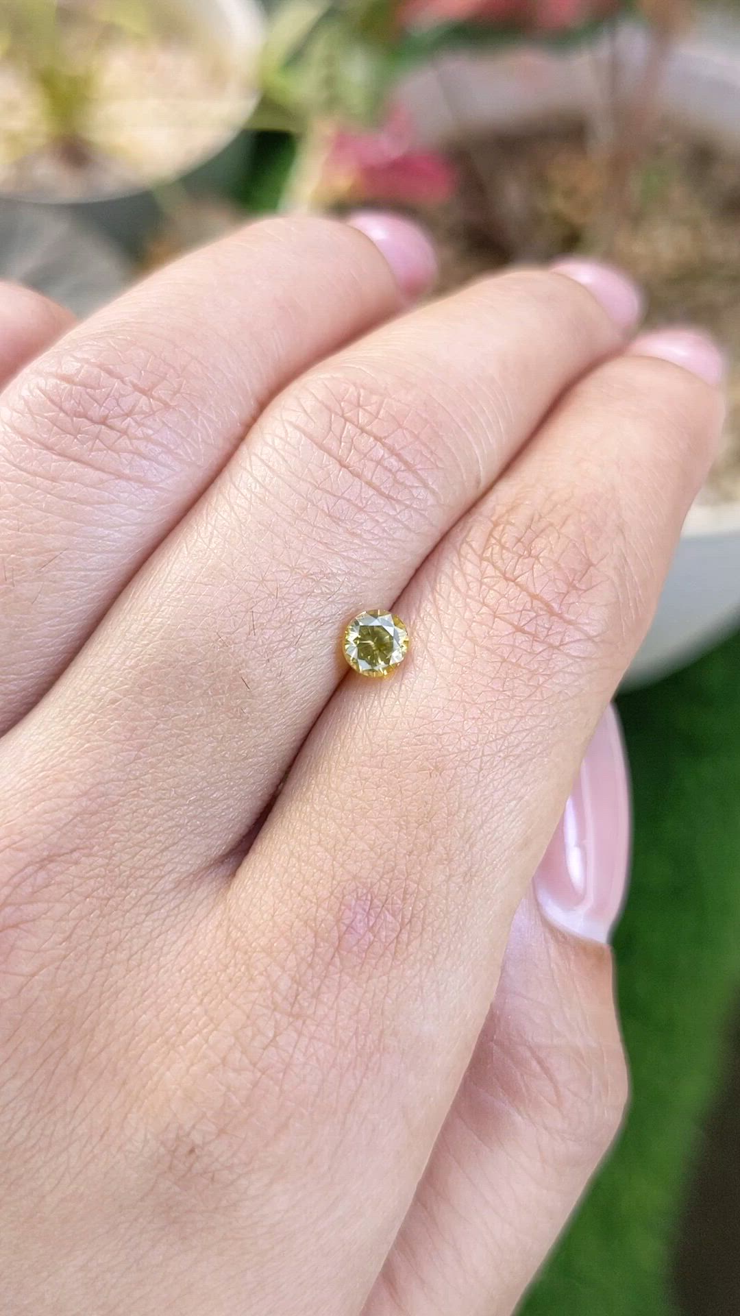 0.76 Ct. Yellow Zircon from Ceylon (Sri Lanka) Size Video