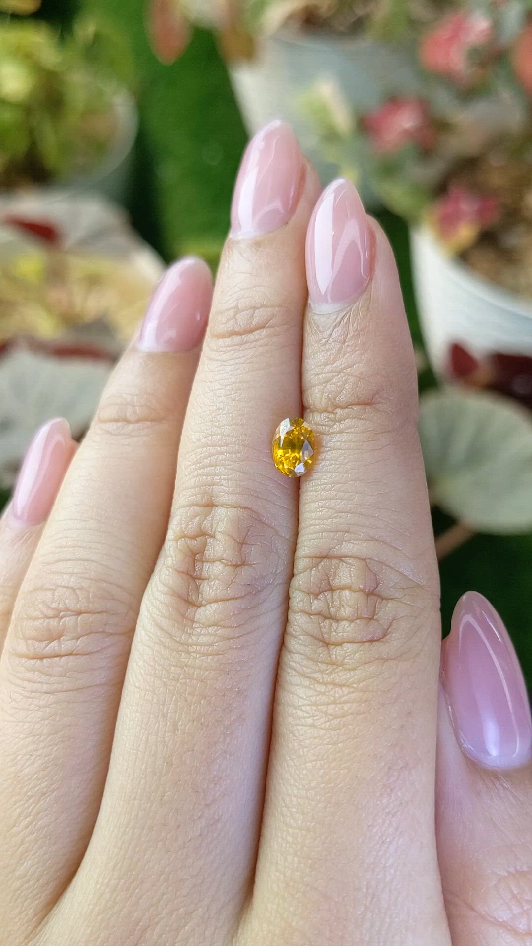 1.16 Ct. Yellow Zircon from Ceylon (Sri Lanka) Size Video