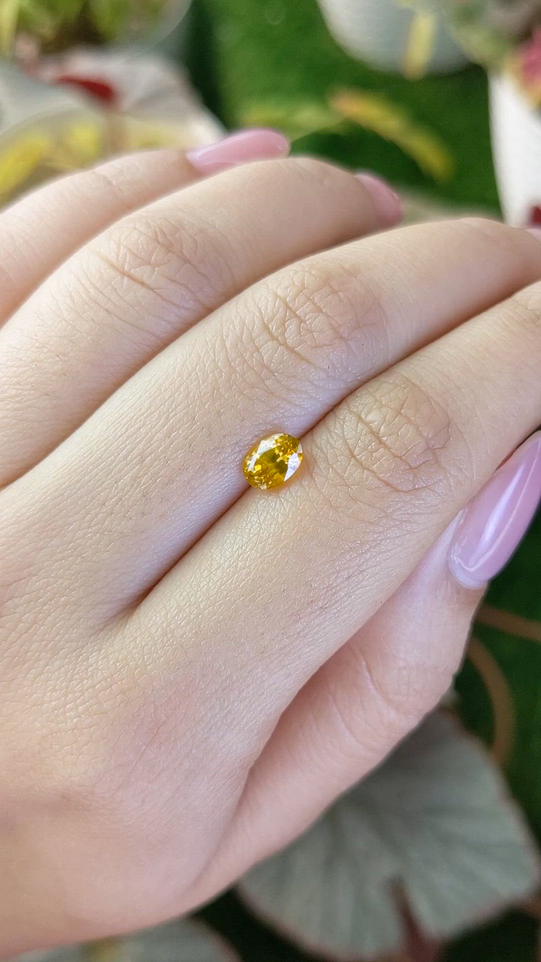 1.16 Ct. Yellow Zircon from Ceylon (Sri Lanka) Size Video