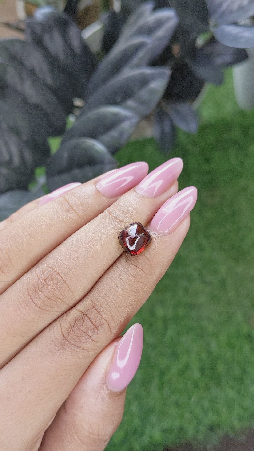 3.60 Ct. Red Cabochon Rhodolite Garnet from Ceylon (Sri Lanka) Size Video