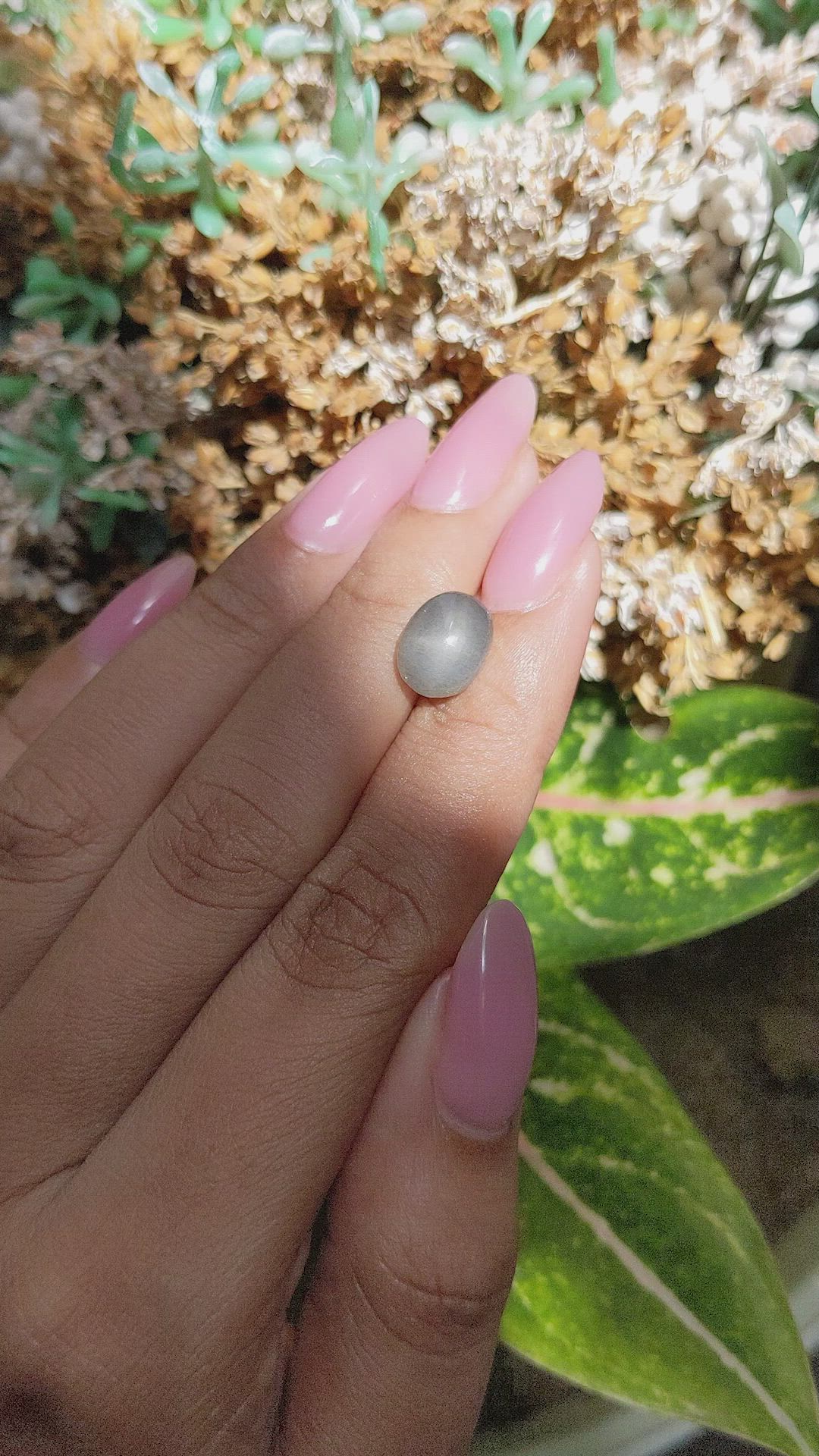 3.55 Ct. Grey Cabochon Moonstone from Ceylon (Sri Lanka) Size Video