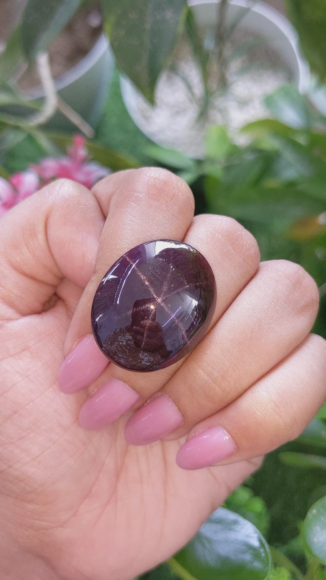 47.30 Ct. Pinkish Purple Star Garnet from Ceylon (Sri Lanka) Size Video