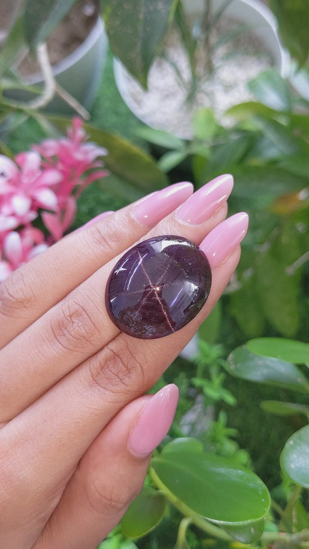 47.30 Ct. Pinkish Purple Star Garnet from Ceylon (Sri Lanka) Size Video