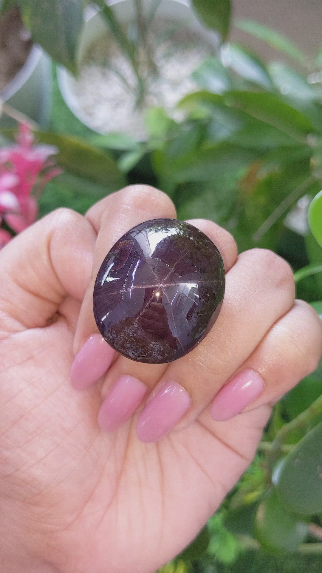 153.56 Ct. Pinkish Purple Star Garnet from Ceylon (Sri Lanka) Size Video