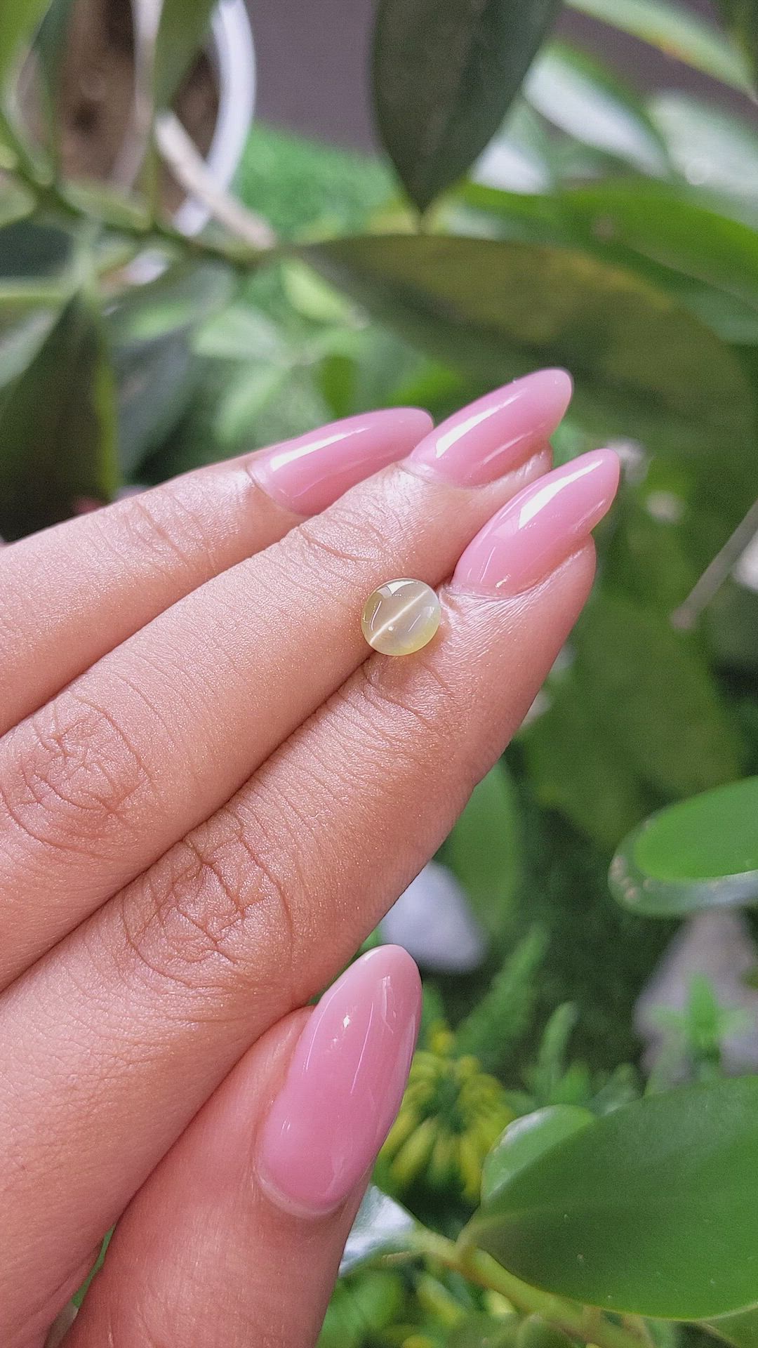 1.30 Ct. Greenish Yellow Cabochon Chrysoberyl from Tanzania Size Video