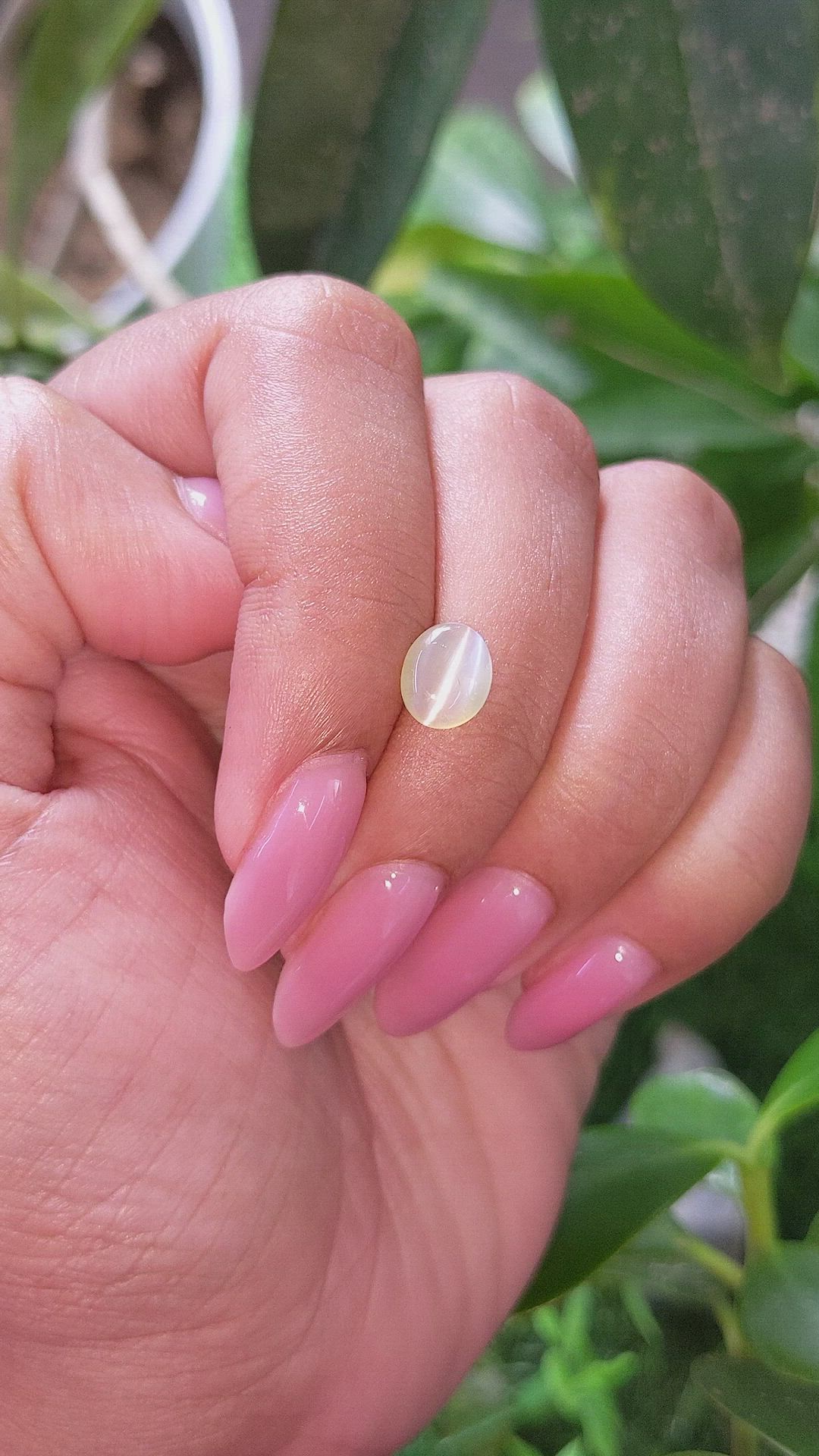 1.80 Ct. Greenish Yellow Cabochon Chrysoberyl from Tanzania Size Video