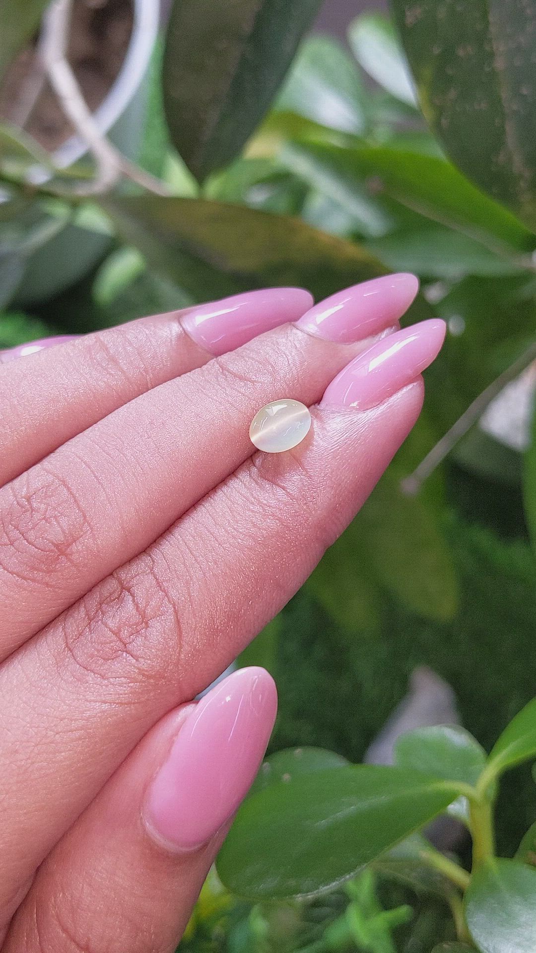 1.82 Ct. Greenish Yellow Cabochon Chrysoberyl from Tanzania Size Video