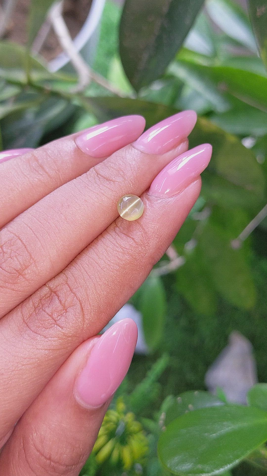 1.02 Ct. Greenish Yellow Cabochon Chrysoberyl from Tanzania Size Video
